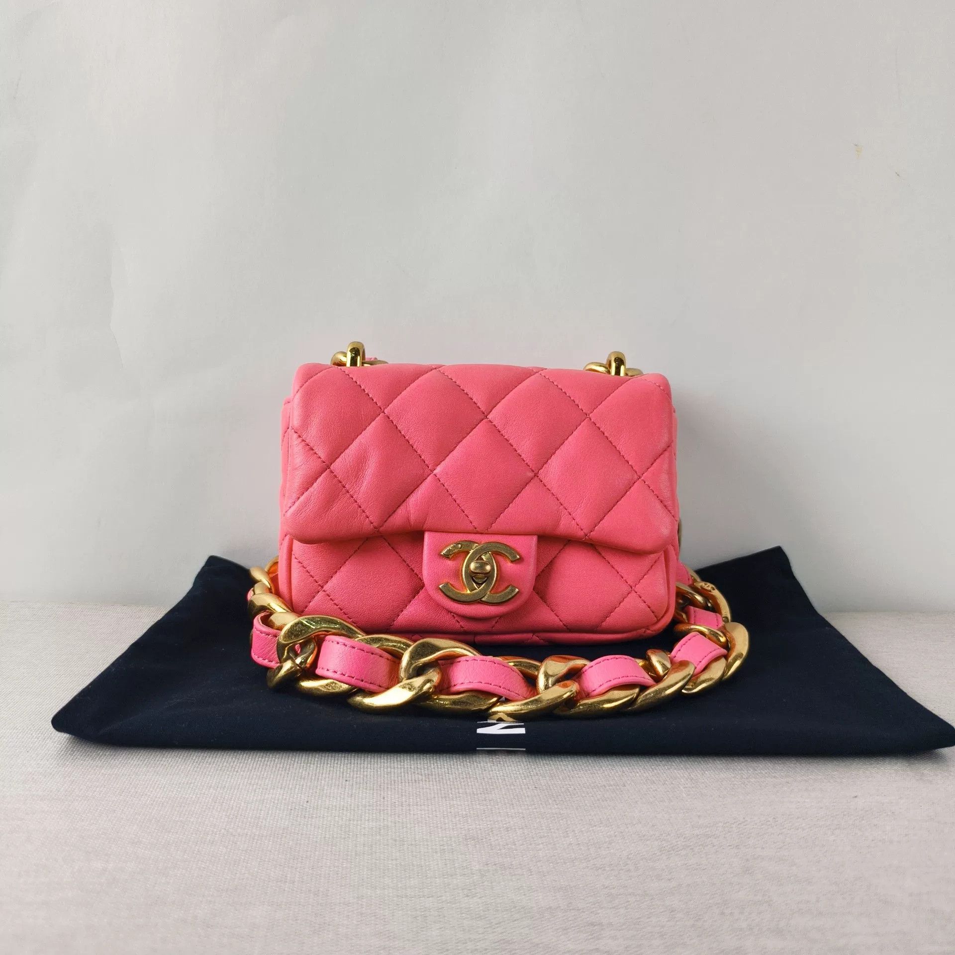 Chanel Pre-loved Bag Brand new condition Size ONE SIZE - 1 Thumbnail