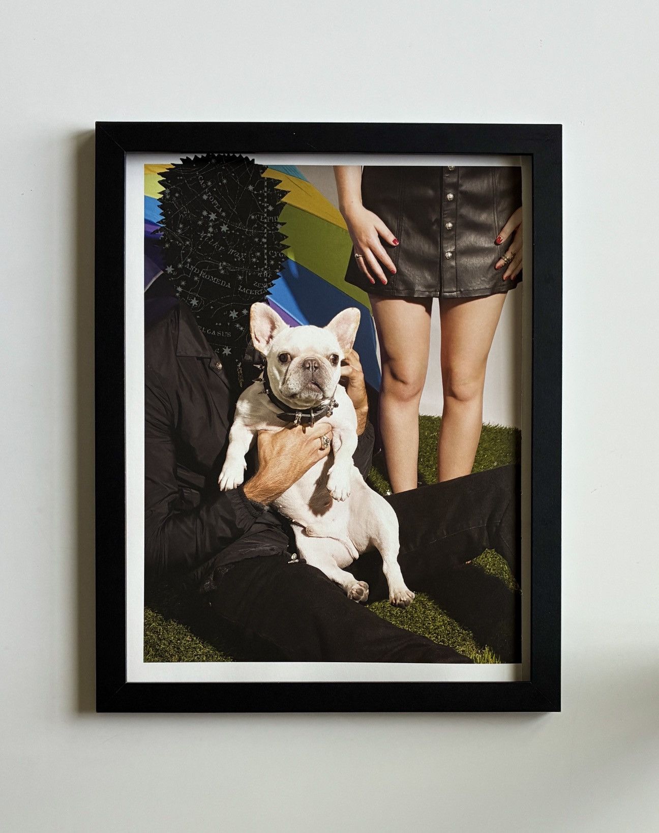 Chrome Hearts Chrome Hearts dog photo Poster framed 9x11 Size ONE SIZE - 1 Thumbnail
