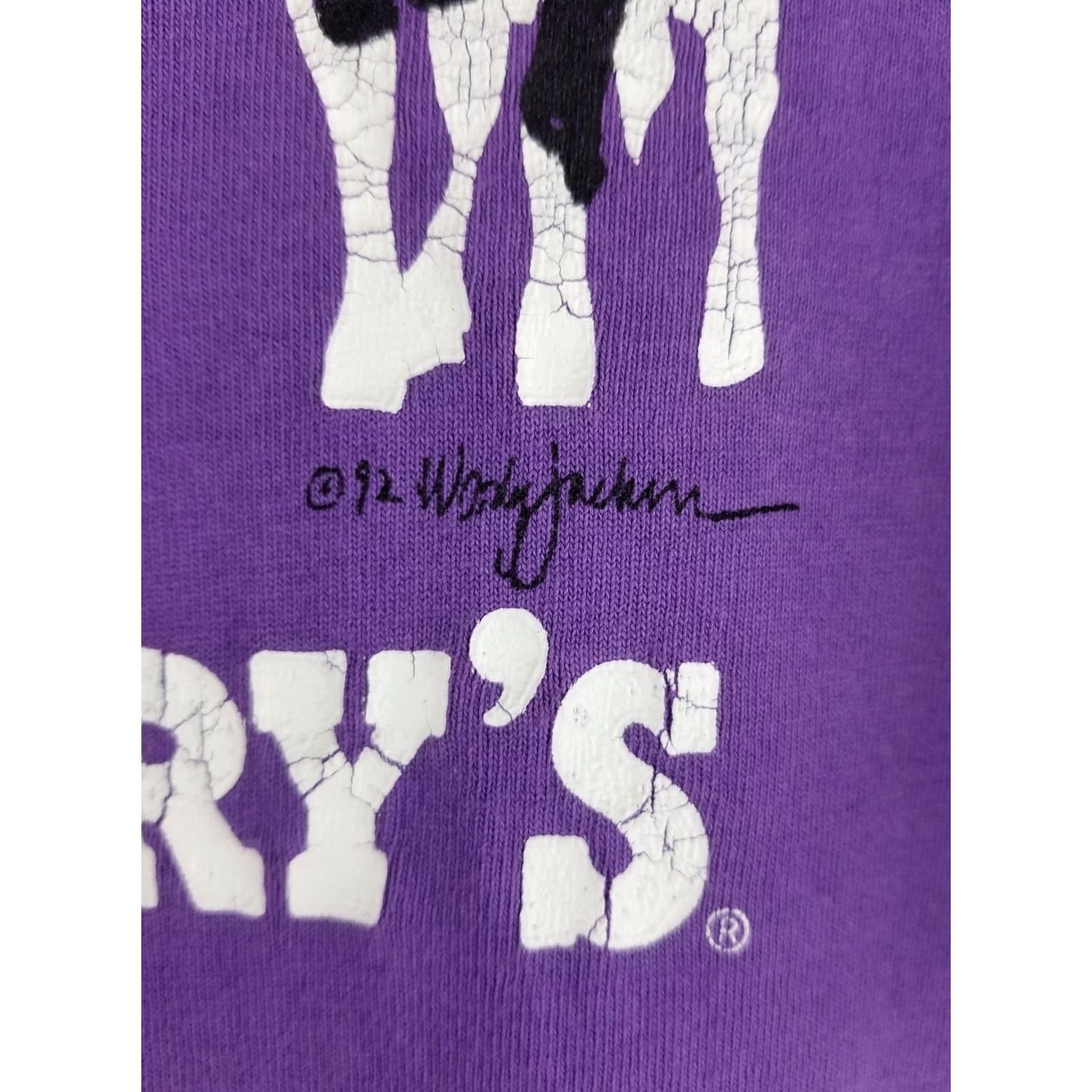 Vintage VINTAGE BEN & JERRY ICE CREAM PROMO PURPLE COTTON T-SHIRT SZ L Single Stitch Mens Size US L / EU 52-54 / 3 - 5 Thumbnail