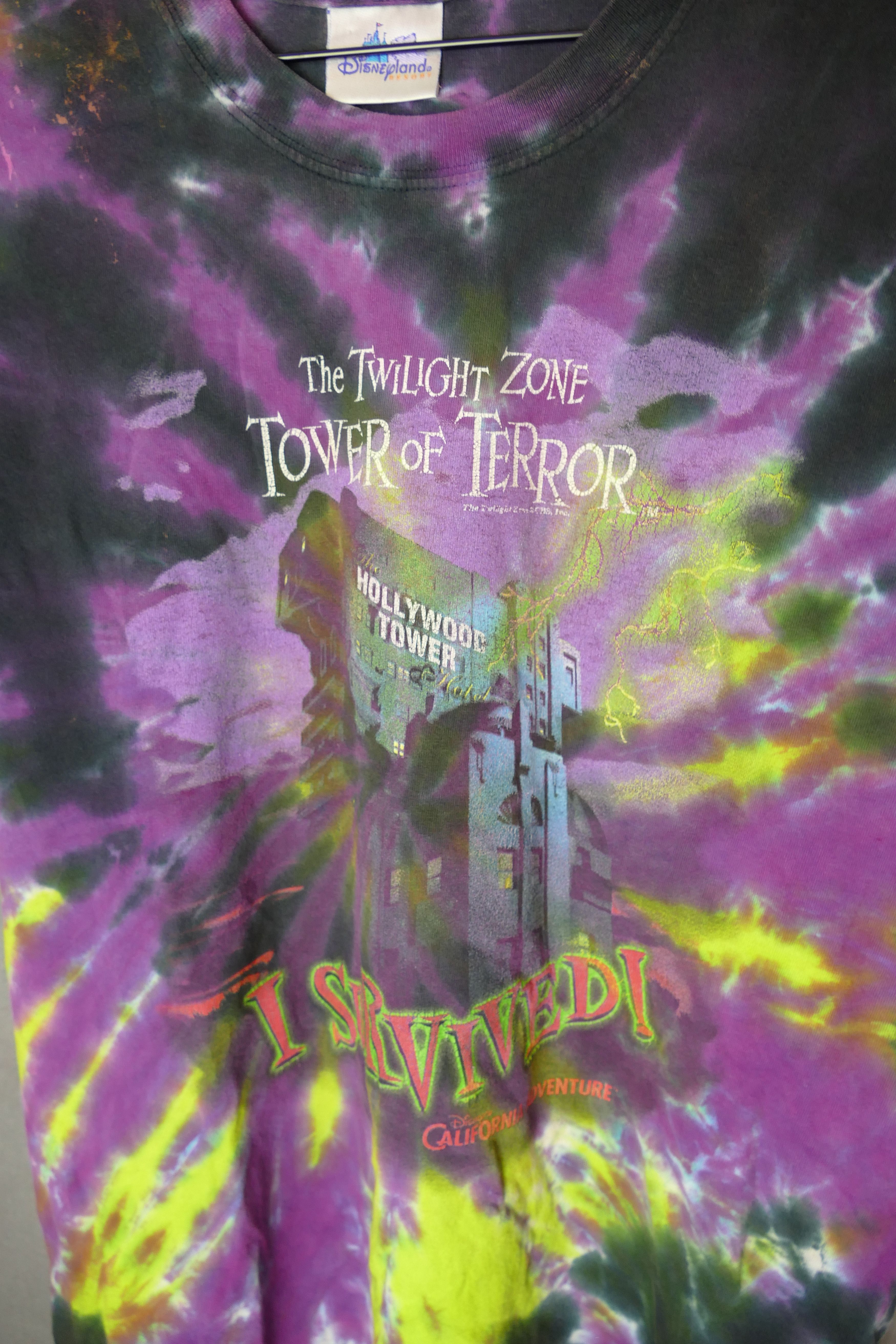 Disneyland Tower of Terror Mens I Survived