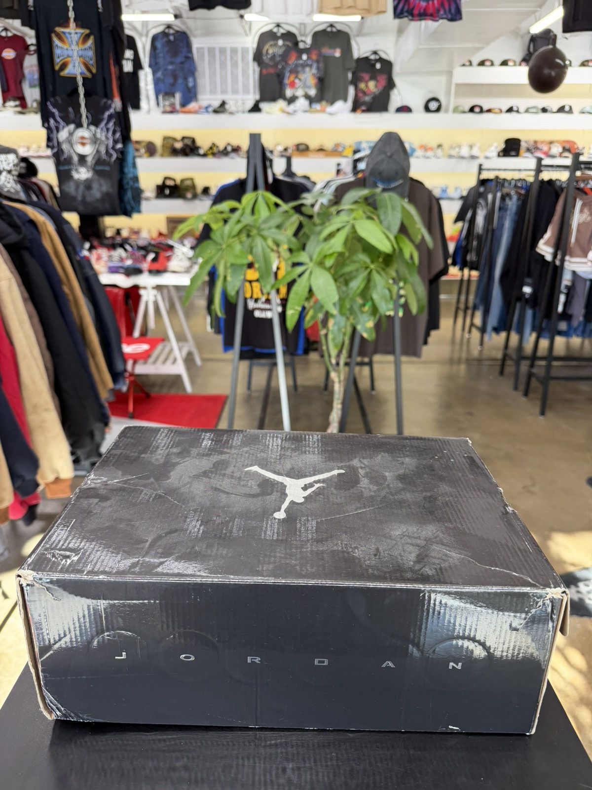 Jordan Brand Air Jordan 12 Low Black Patent Size 10 (2011) Size US 10 / EU 43 - 16 Thumbnail