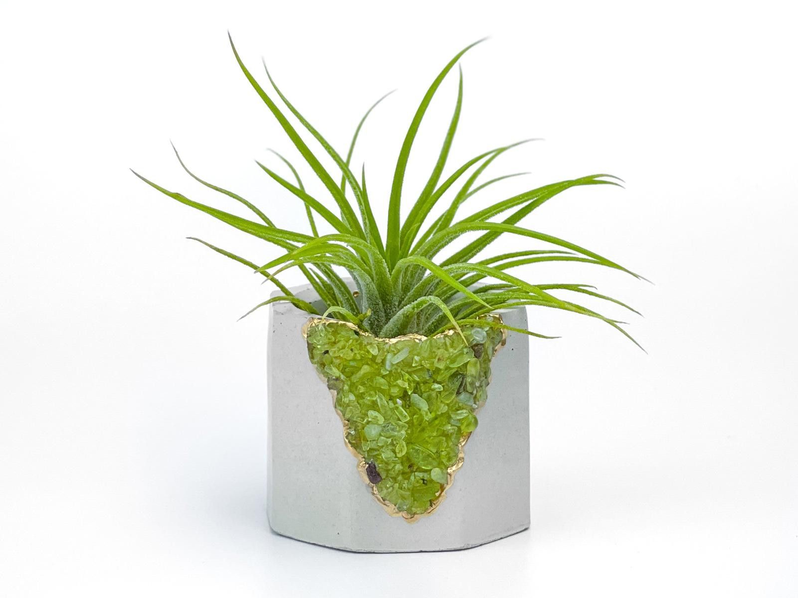 Other Crystal Airplant Holder Green Peridot Succulent Pot Planter Size ONE SIZE - 1 Thumbnail