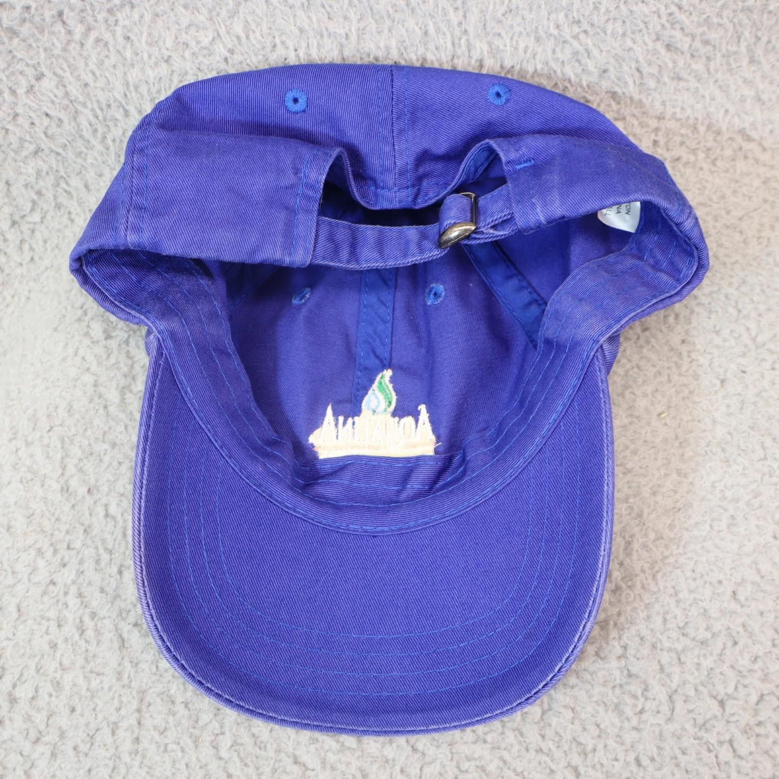 Other Aquafina Essentials Hat Men OSF Blue Strapback Cap Embroid Size ONE SIZE - 7 Thumbnail