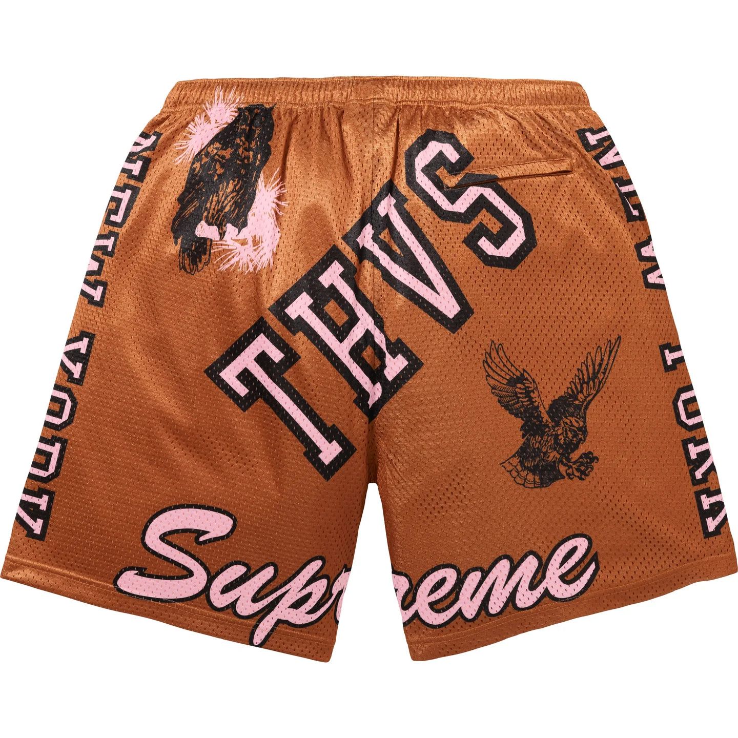 Supreme Varsity Mesh Short - Medium