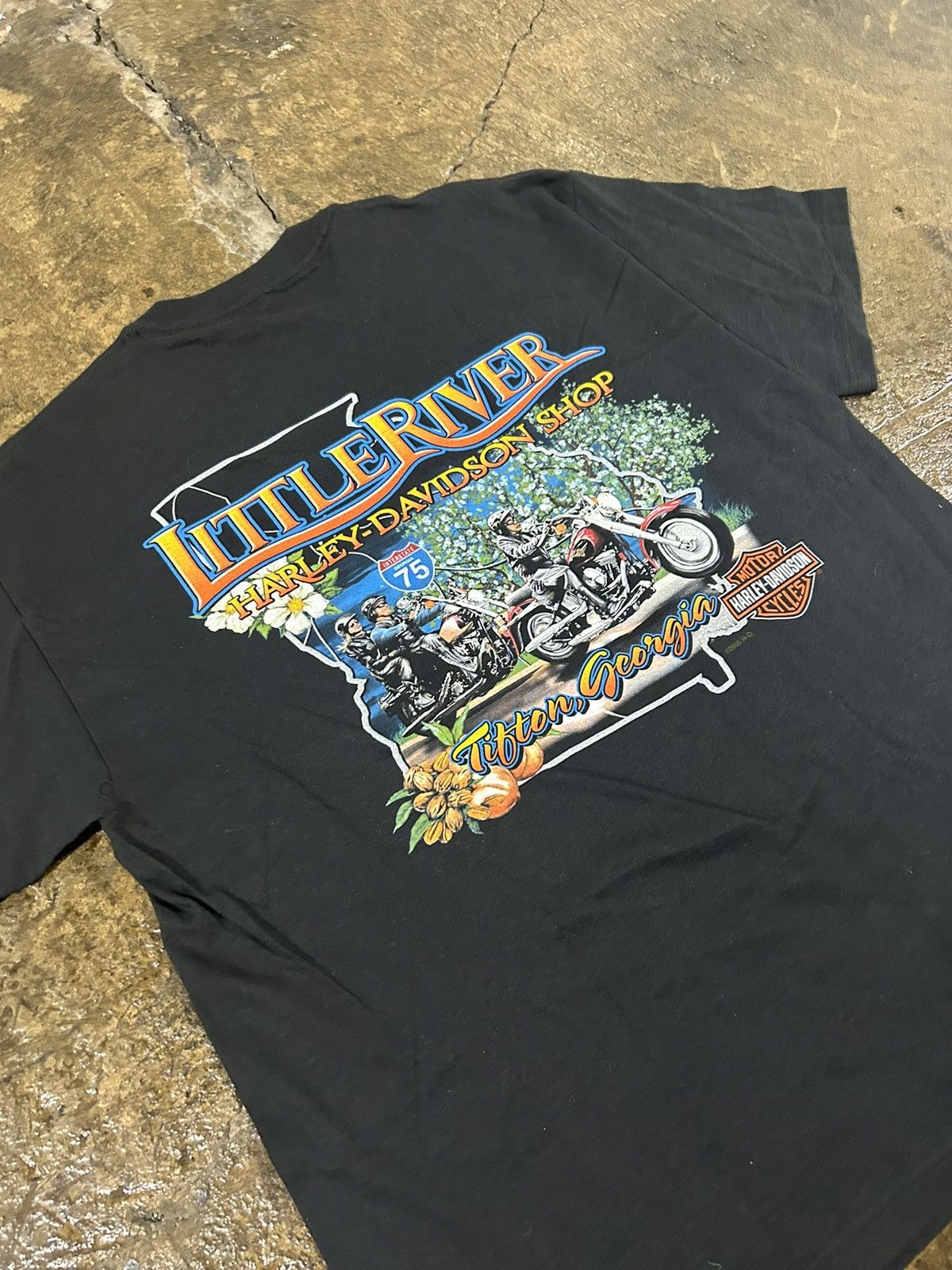 Harley Davidson × Vintage Crazy Vintage Y2K Harley Davidson Flames Hog Biker Tee Shirt Size US L / EU 52-54 / 3 - 7 Thumbnail