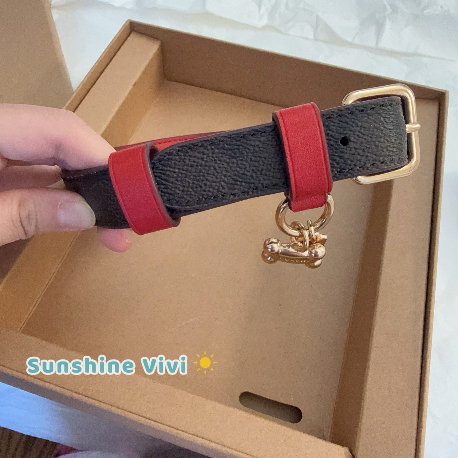 Coach NWT Coach Boxed Medium Pet Collar CX157 Gold/Walnut/Bold Red Size ONE SIZE - 5 Thumbnail