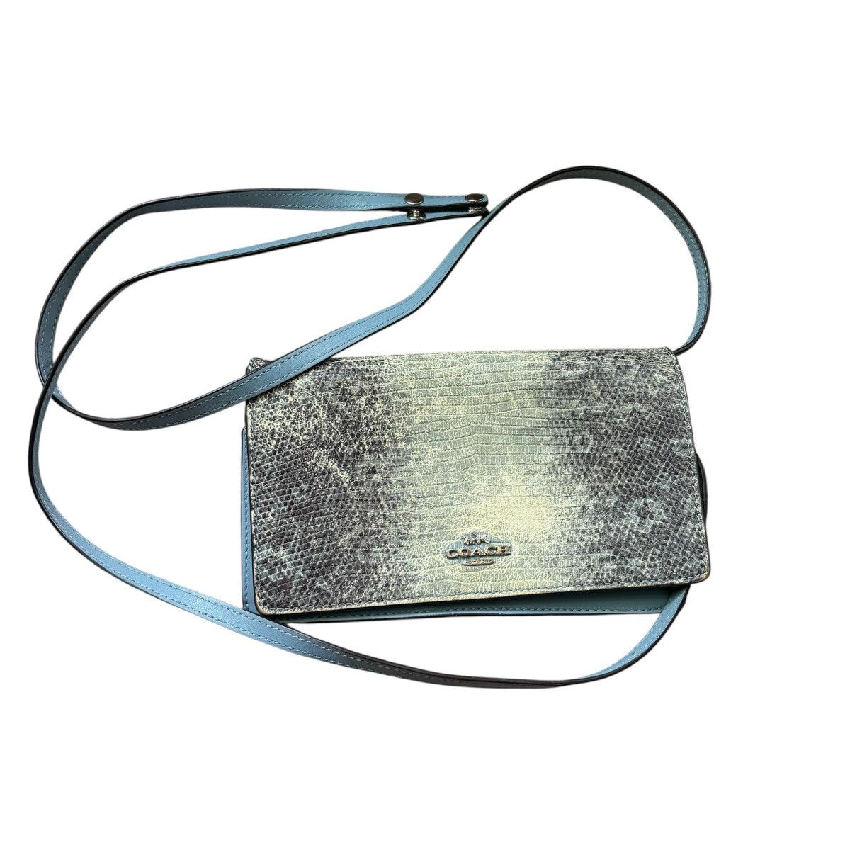 Coach Coach Hayden snakeskin lizard embossed leather crossbody bag Size ONE SIZE - 1 Thumbnail