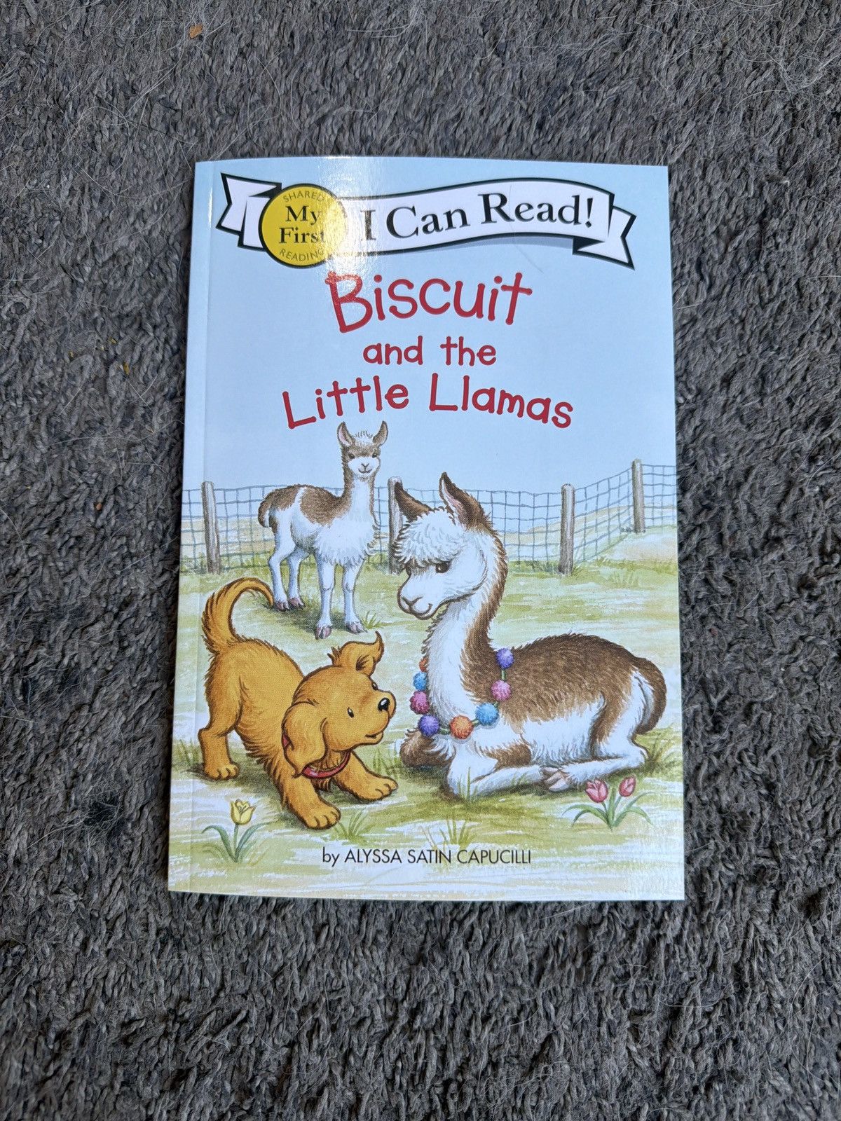 Hypebeast Biscuit And The Little Llamas Size ONE SIZE - 1 Thumbnail
