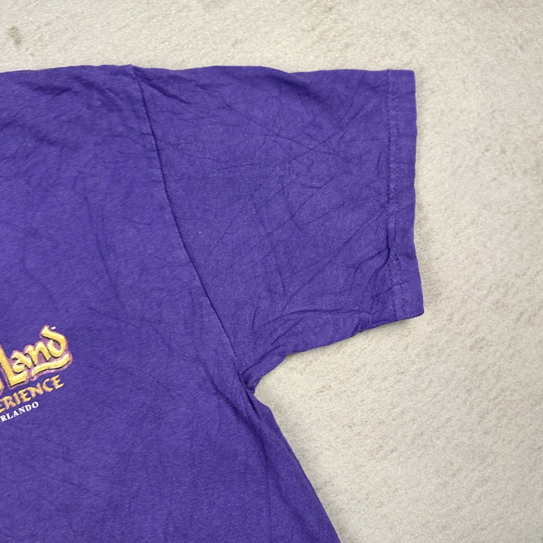Hanes Holy Land Experience Shirt Orlando Theme Park Christian Purple Mens Medium Size US M / EU 48-50 / 2 - 7 Thumbnail