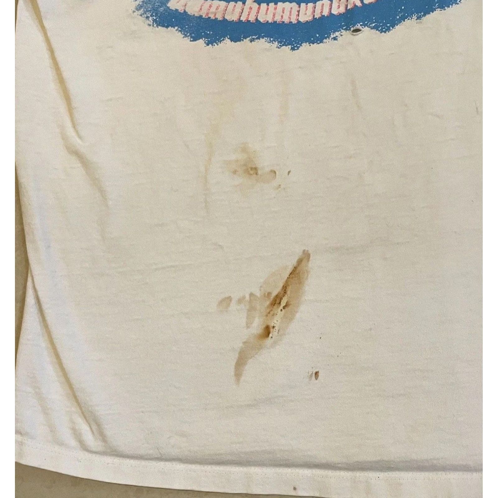 Thrasher VINTAGE 90s Hawaii Humuhumunukunukuapuaʻa Thrashed Faded Distressed White XL T-Shirt Mens Casual Beach Surf Grunge OP Size US XL / EU 56 / 4 - 6 Thumbnail