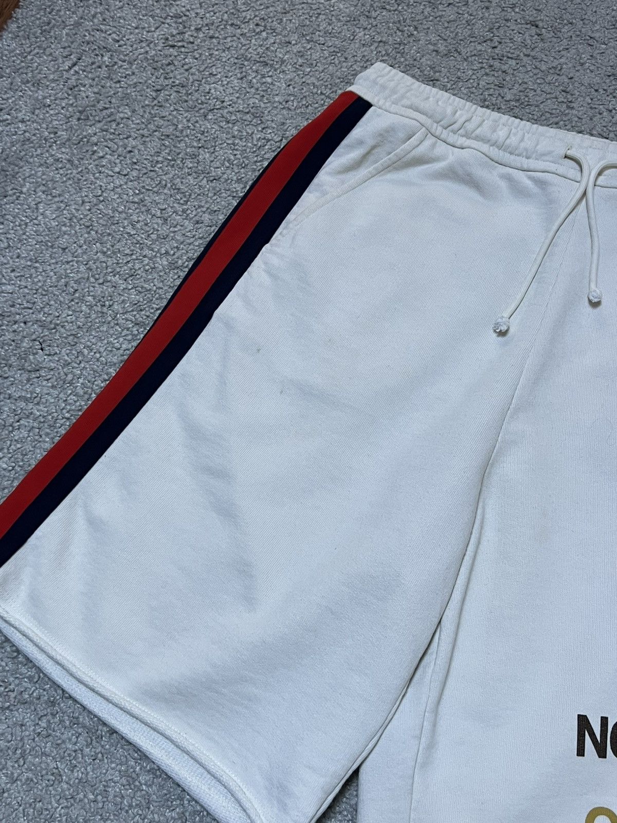 Gucci × The North Face Gucci x The North Face Web Print Shorts Size US 30 / EU 46 - 3 Thumbnail
