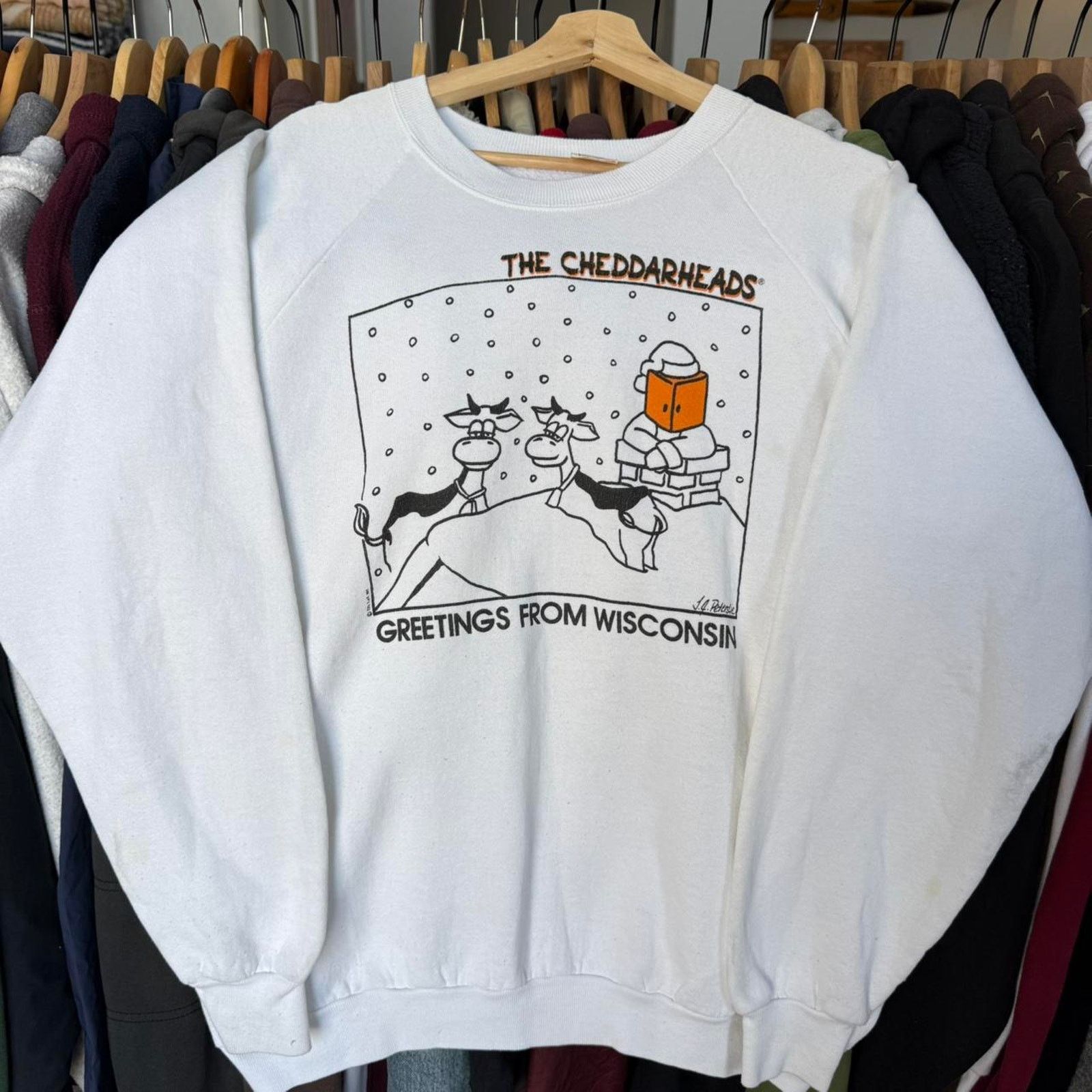 Fruit Of The Loom Vintage 90s Cheddarheads Greetings From Wisconsin Sweatshirt Size US XL / EU 56 / 4 - 1 Thumbnail