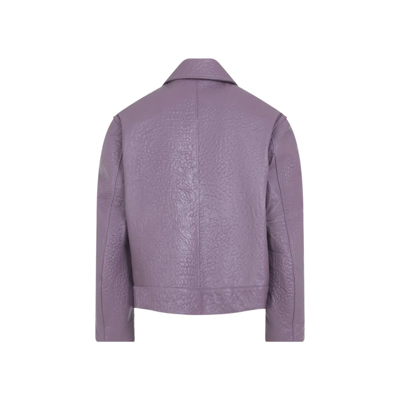 Jil Sander JIL SANDER Wisteria Leather Bomber Jacket New & Authentic (M Size ONE SIZE - 2 Thumbnail