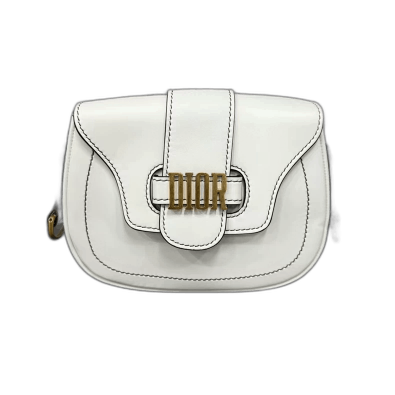 Dior Dior Saddle Bag in White with Gold Hardware-2506 Size ONE SIZE - 1 Thumbnail
