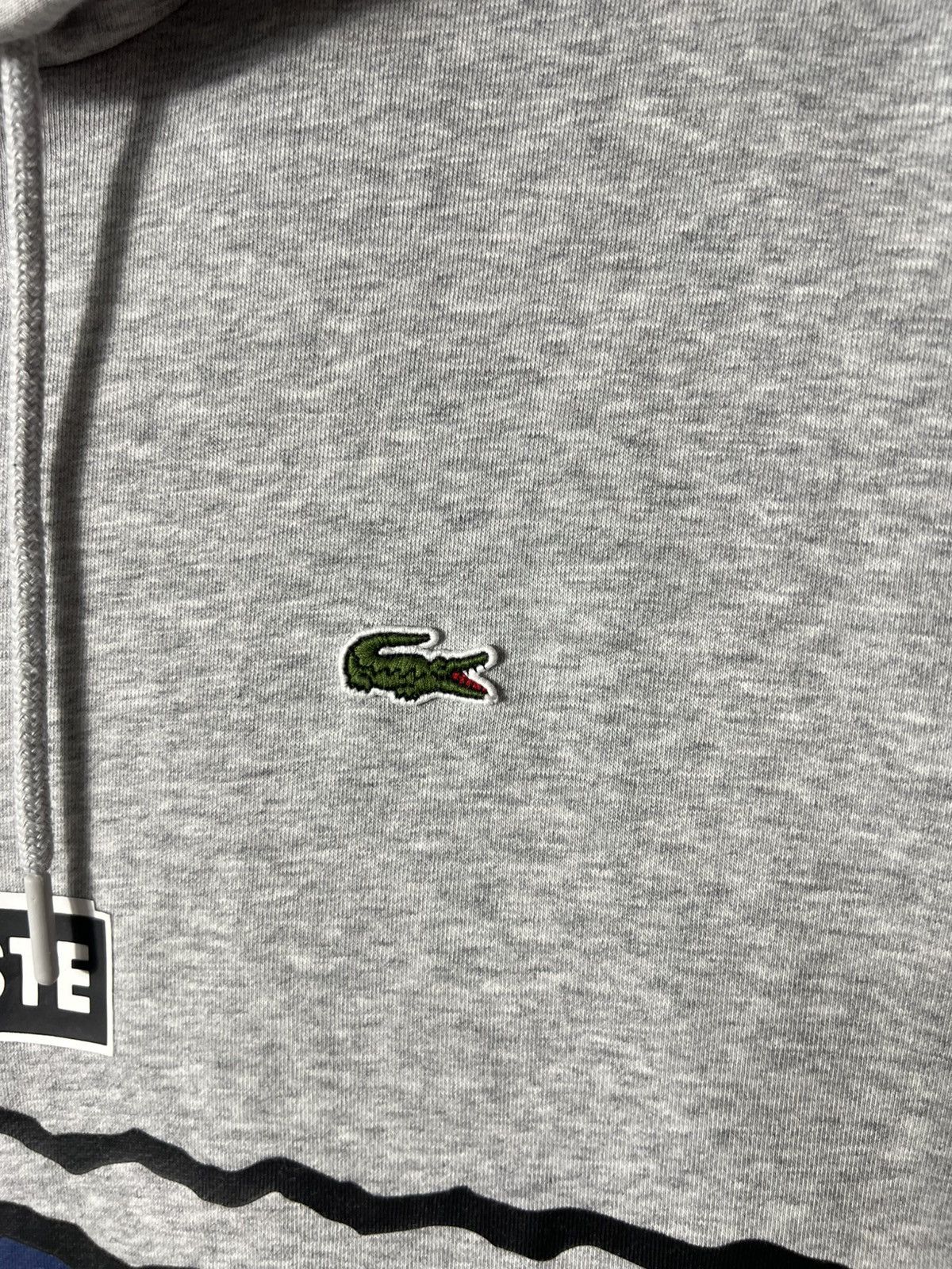 Lacoste 🩶 Lacoste Sport Hoodie Grey Blue Size M Size US M / EU 48-50 / 2 - 5 Thumbnail