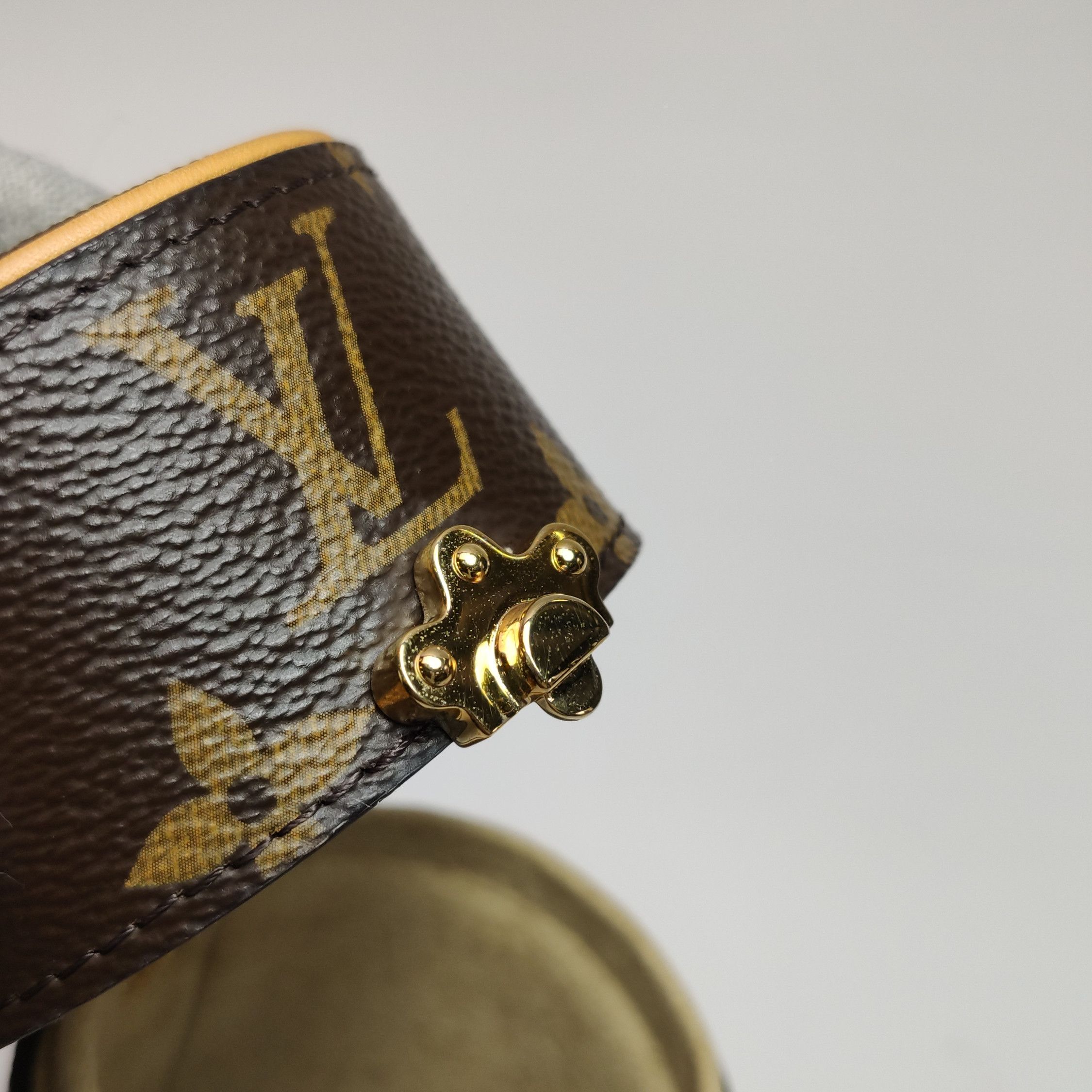Louis Vuitton Louis Vuitton (LV) Vegetable Tanned Leather Monogram Print Size ONE SIZE - 7 Thumbnail