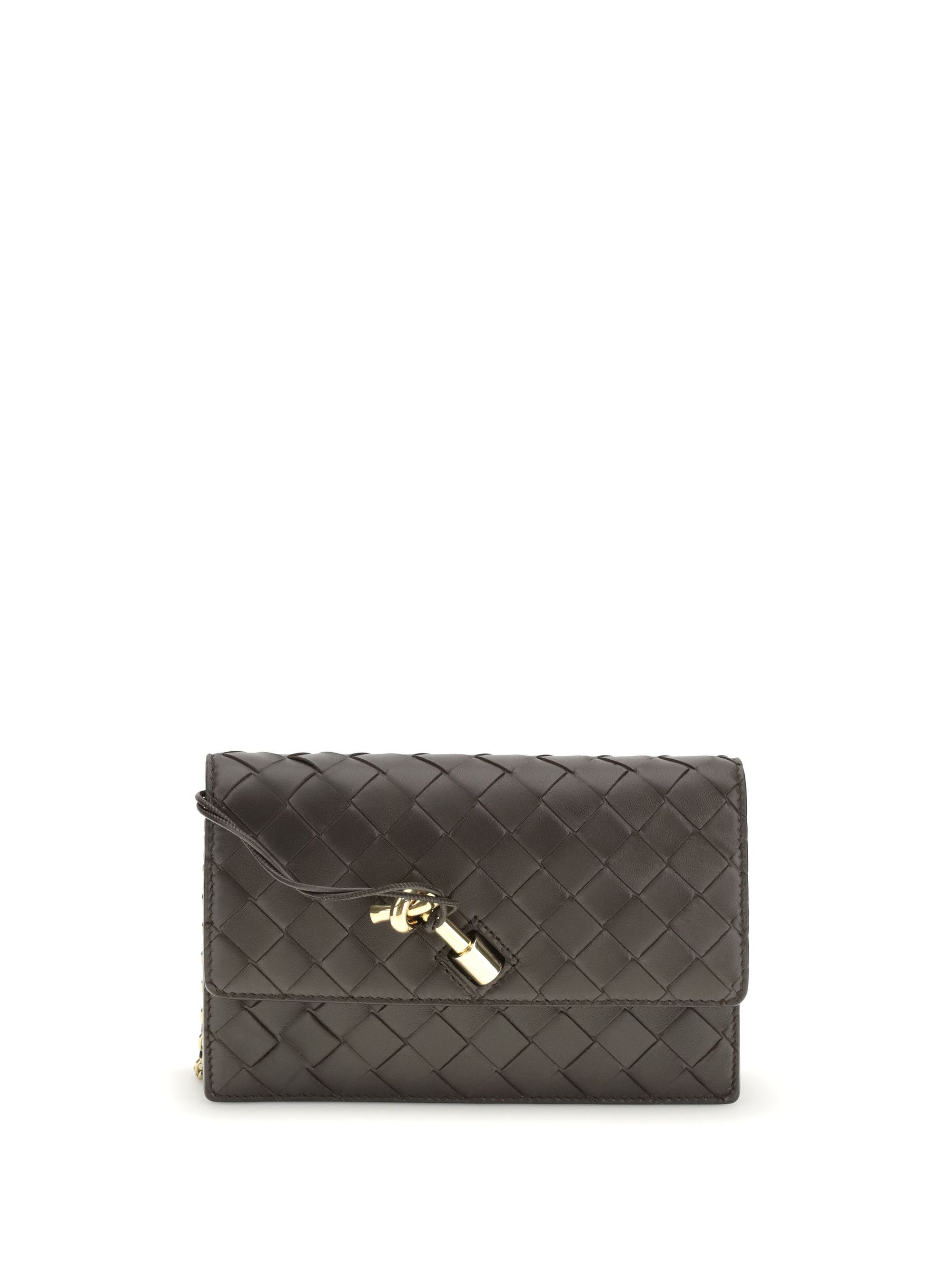 Bottega Veneta Andiamo Pouch on Chain Size ONE SIZE - 1 Thumbnail