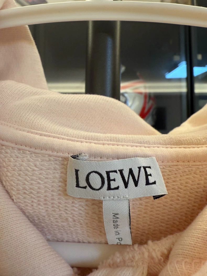 Loewe LOEWE Botanical specimen printed pull rope hoodie for wome Size S / US 4 / IT 40 - 3 Thumbnail