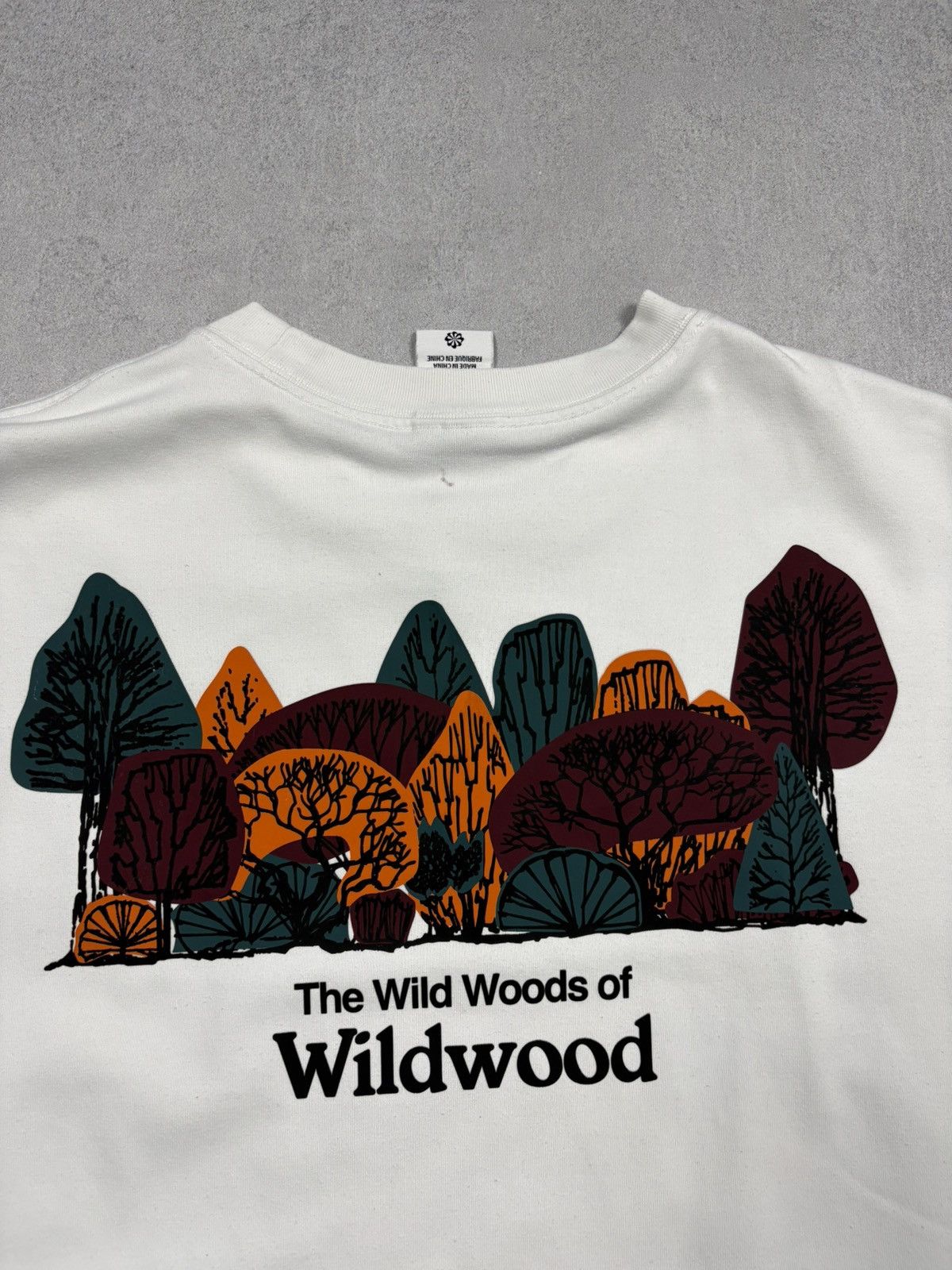 Nike ACG Nike ACG The Wild Woods of Wildwood Graphic White T-Shirt M Size US M / EU 48-50 / 2 - 4 Thumbnail