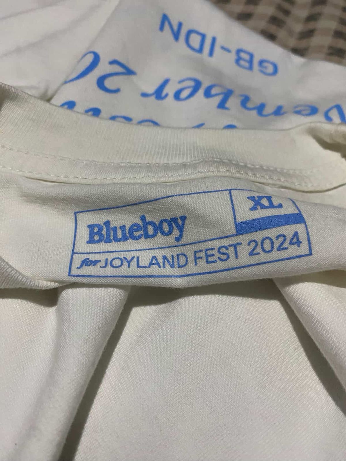 Band Tees Blueboy Joyland Fest Indonesia Official Merch Size US XL / EU 56 / 4 - 5 Thumbnail