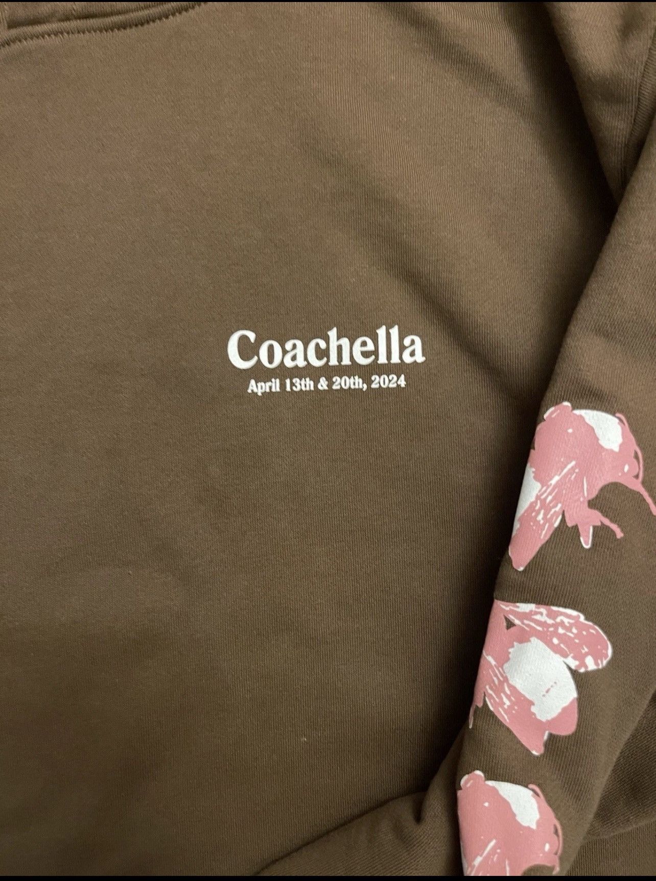Golf Wang Golf Wang Coachella 2024 Save The Bees Hoodie Brown Large Size US L / EU 52-54 / 3 - 3 Thumbnail