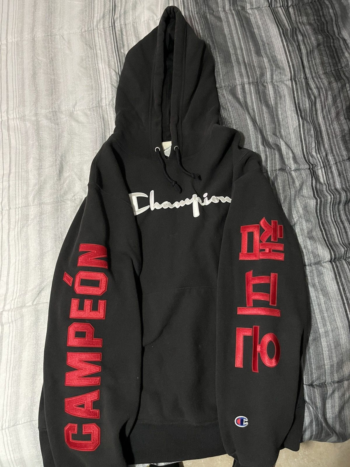 RARE outlet Champion hoodie