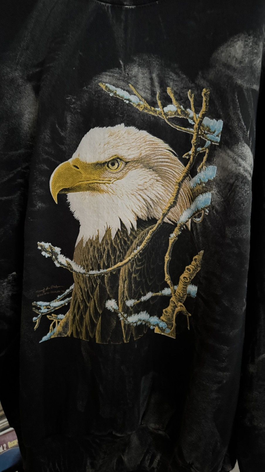 Fruit Of The Loom Bald Eagle Endangered Animal Wildlife Graphic Sweatshirt Size US XL / EU 56 / 4 - 4 Thumbnail