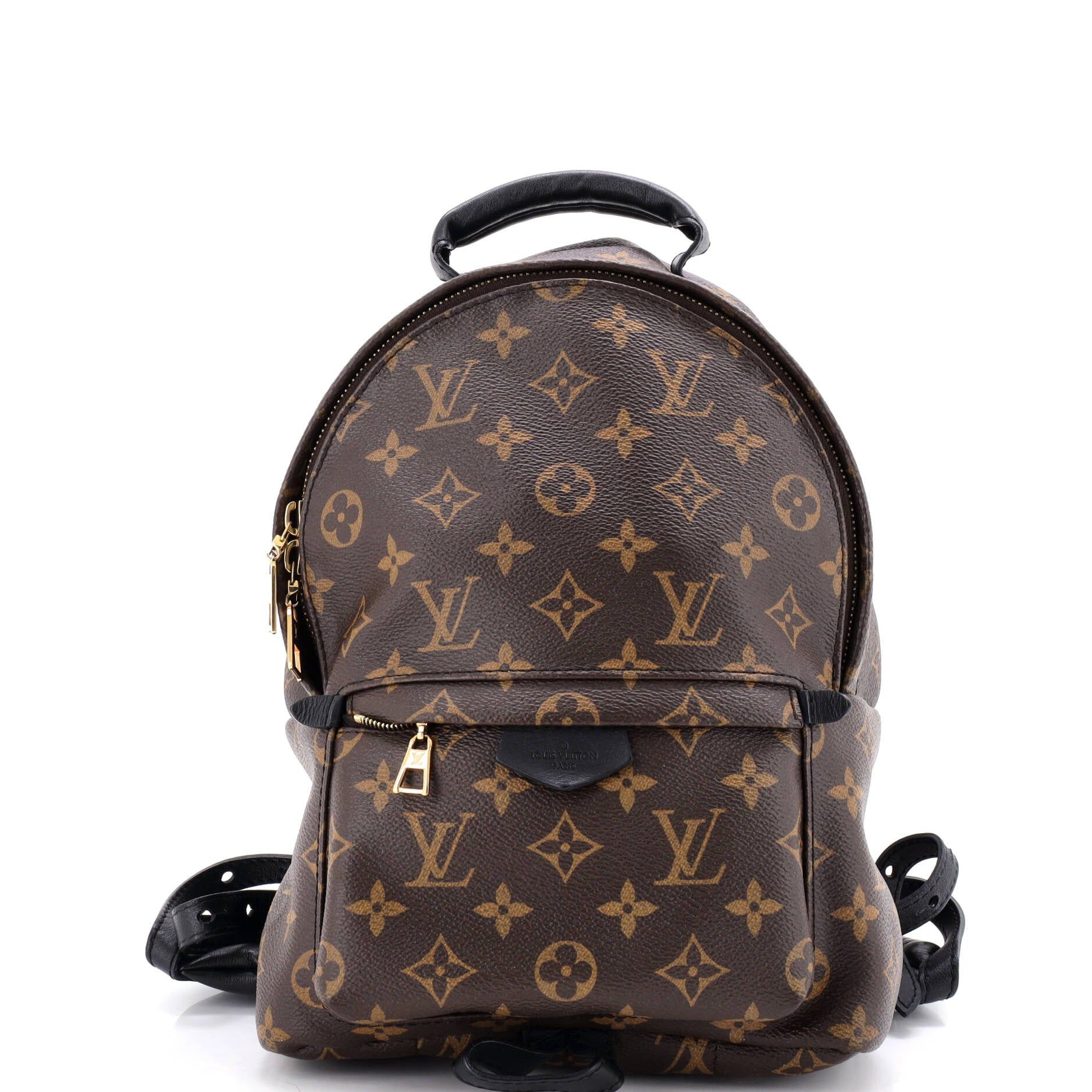 Louis Vuitton Palm Springs Backpack Size ONE SIZE - 1 Thumbnail
