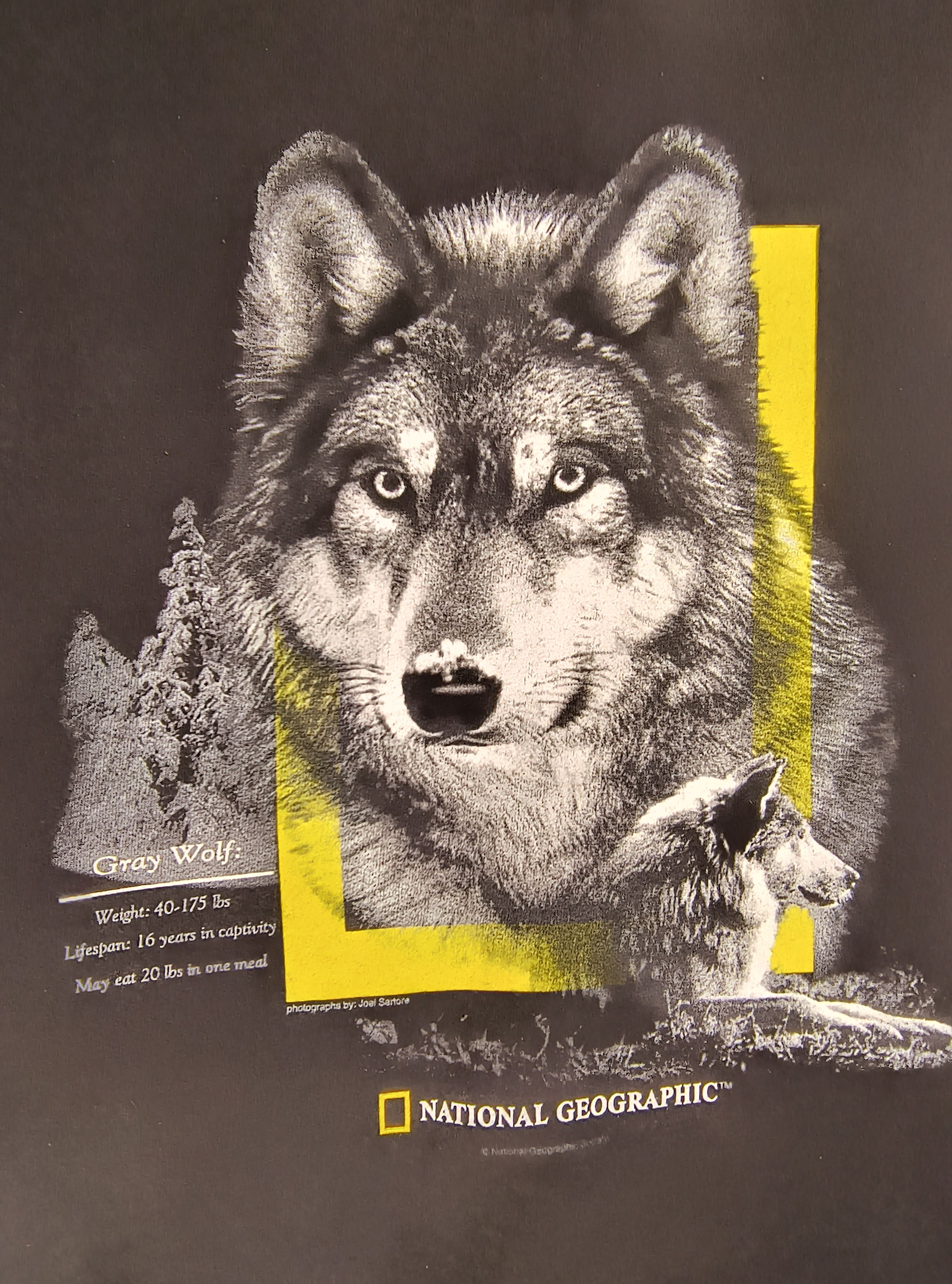 Vintage Vintage National Geographic gray wolf crewneck sweatshirt Size US XXL / EU 58 / 5 - 1 Thumbnail