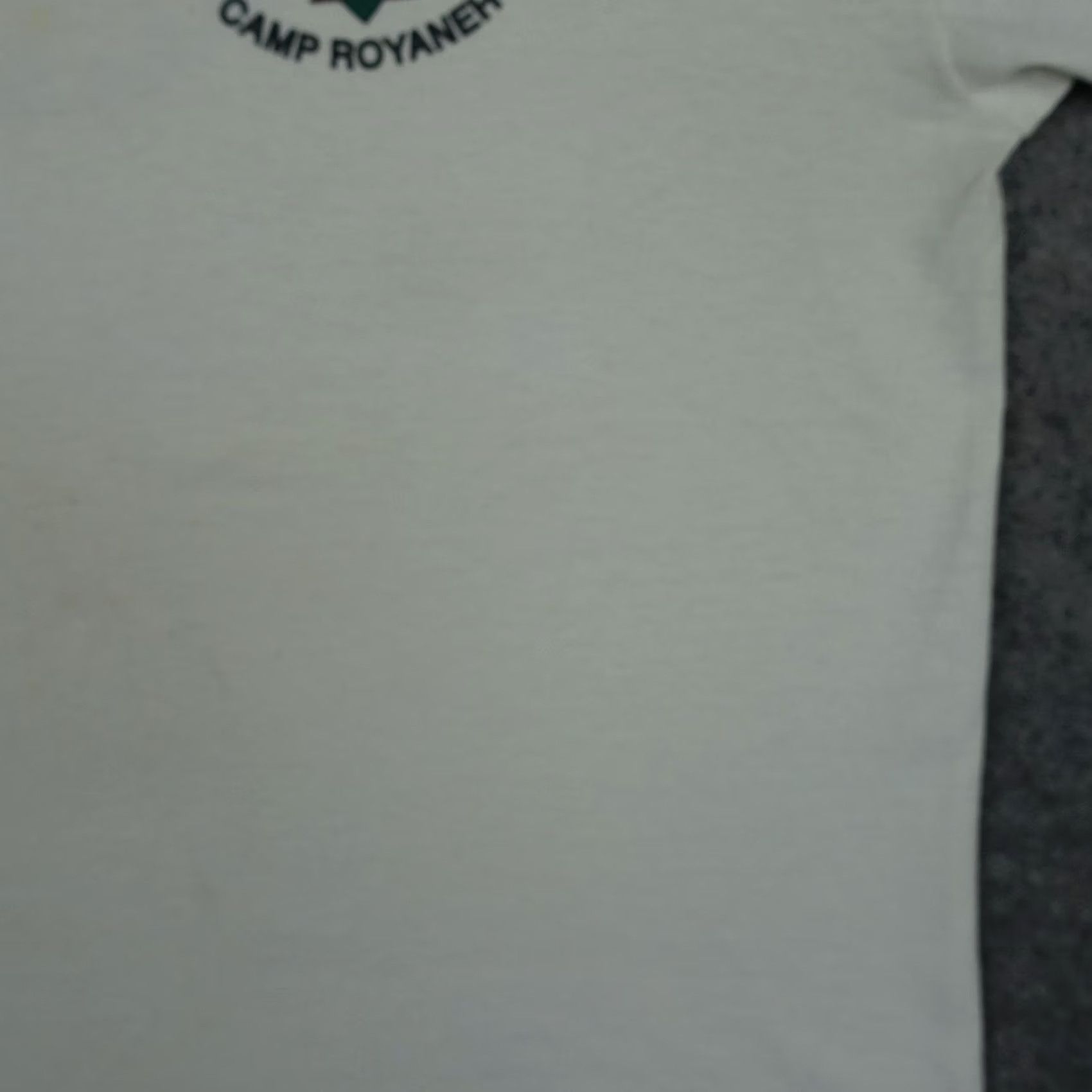 Fruit Of The Loom VINTAGE Camp Royaneh Shirt Mens L White Eagle Graphic Fruit of the Loom 90s Size US L / EU 52-54 / 3 - 7 Thumbnail