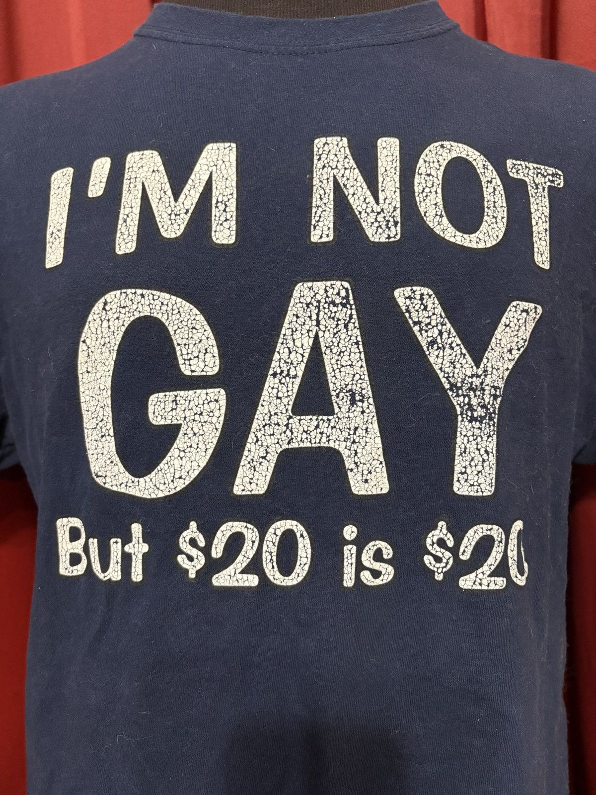 Vintage Vintage I’m Not Gay Tshirt Y2K Economics Funny Tee Size US L / EU 52-54 / 3 - 2 Thumbnail