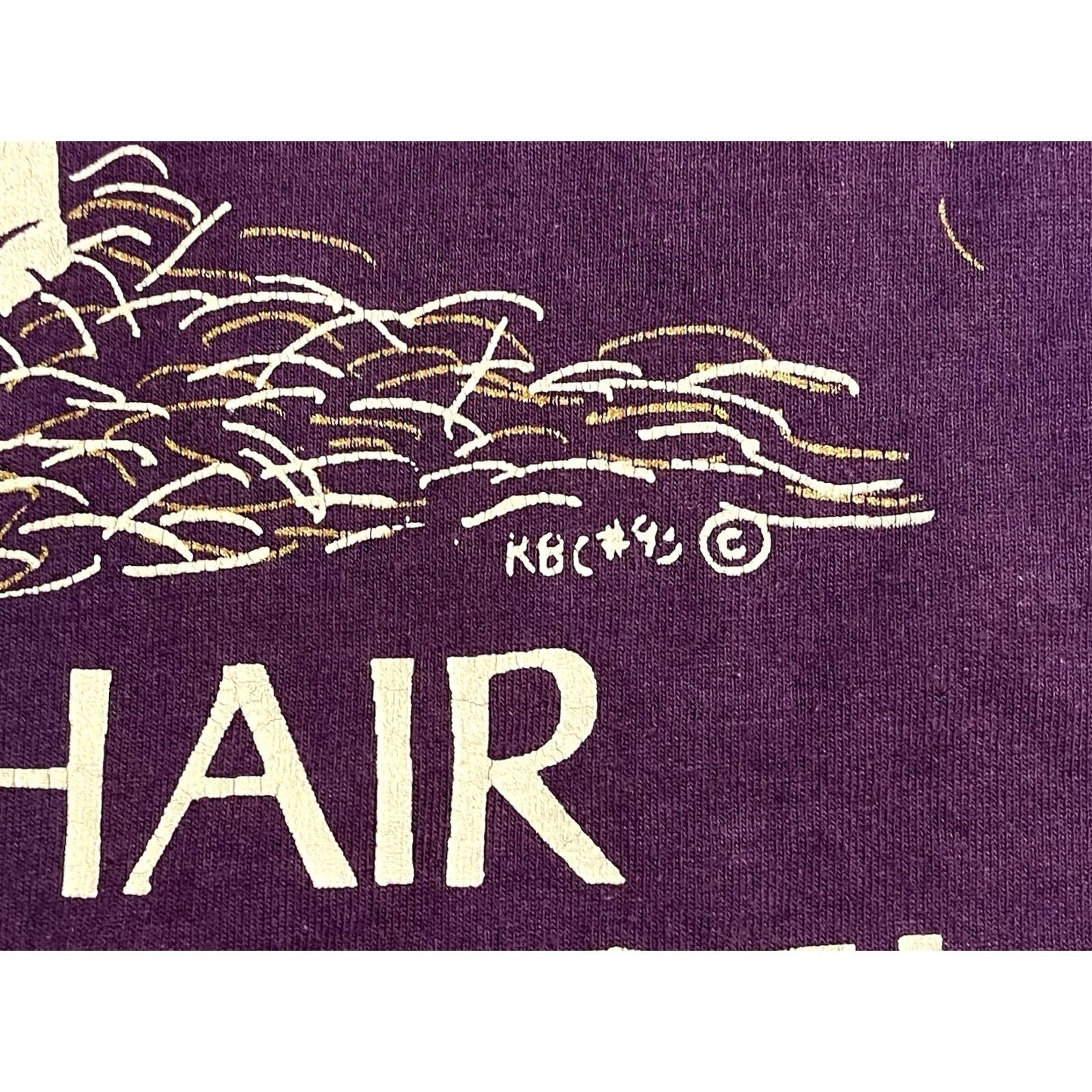 Fruit Of The Loom VINTAGE Dog Hair Everywhere Shirt Men’s L Purple Fruit Of The Loom Best 90s Logo Graphic Print T-Shirt Size US L / EU 52-54 / 3 - 7 Thumbnail