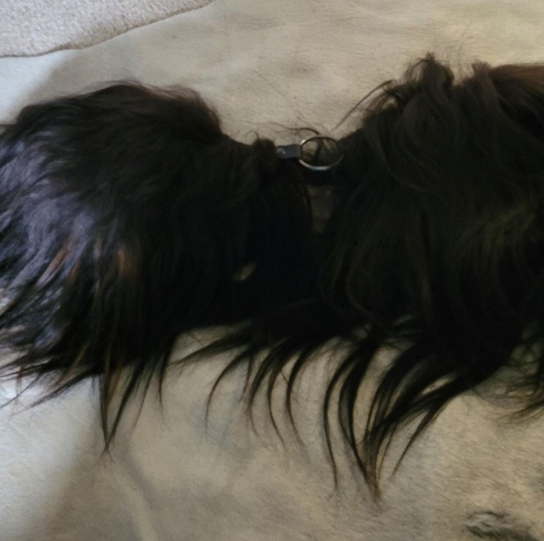 Other Detachable fur collar Size ONE SIZE - 4 Thumbnail