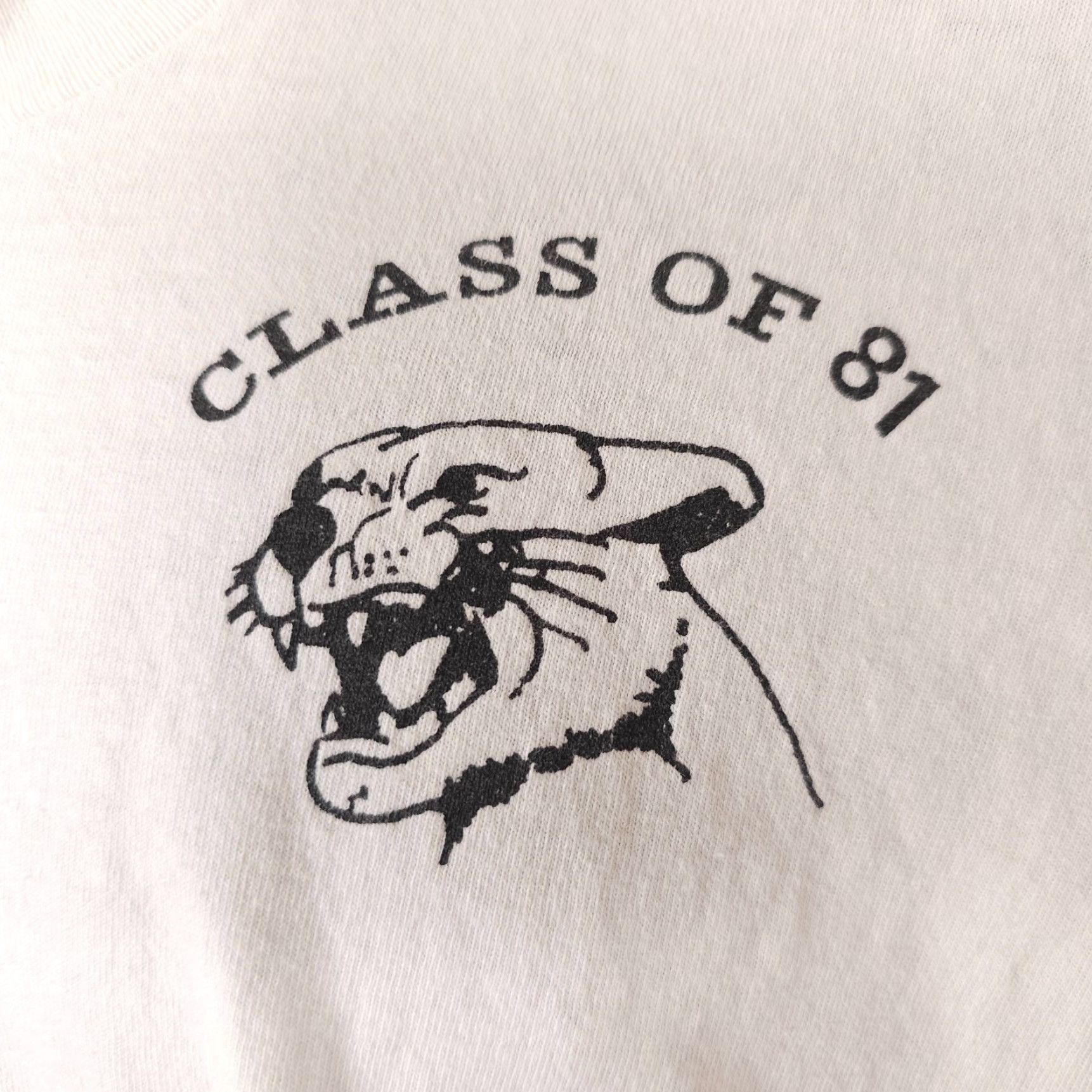 Fruit Of The Loom VINTAGE Snake River Panthers T Shirt Mens 2XL White 90s Made In USA 1981 Fruit of the Loom Mens T-Shirt Shirts Size US XXL / EU 58 / 5 - 3 Thumbnail