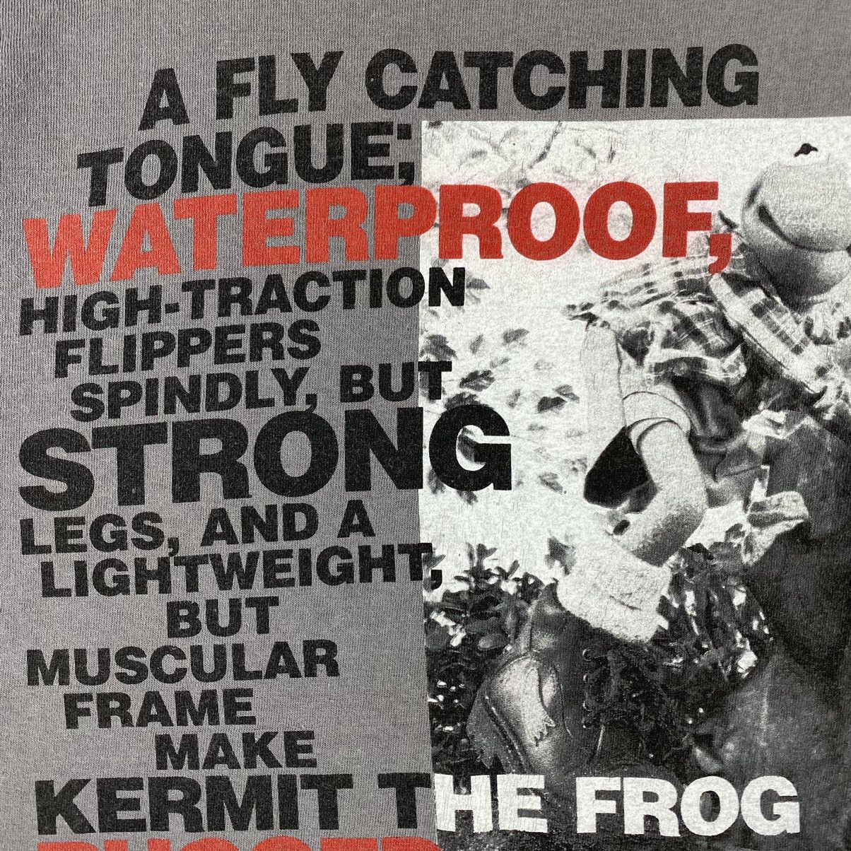 Vintage Vintage 90's KERMIT THE FROG Hike Graphic Tee Size US L / EU 52-54 / 3 - 5 Thumbnail