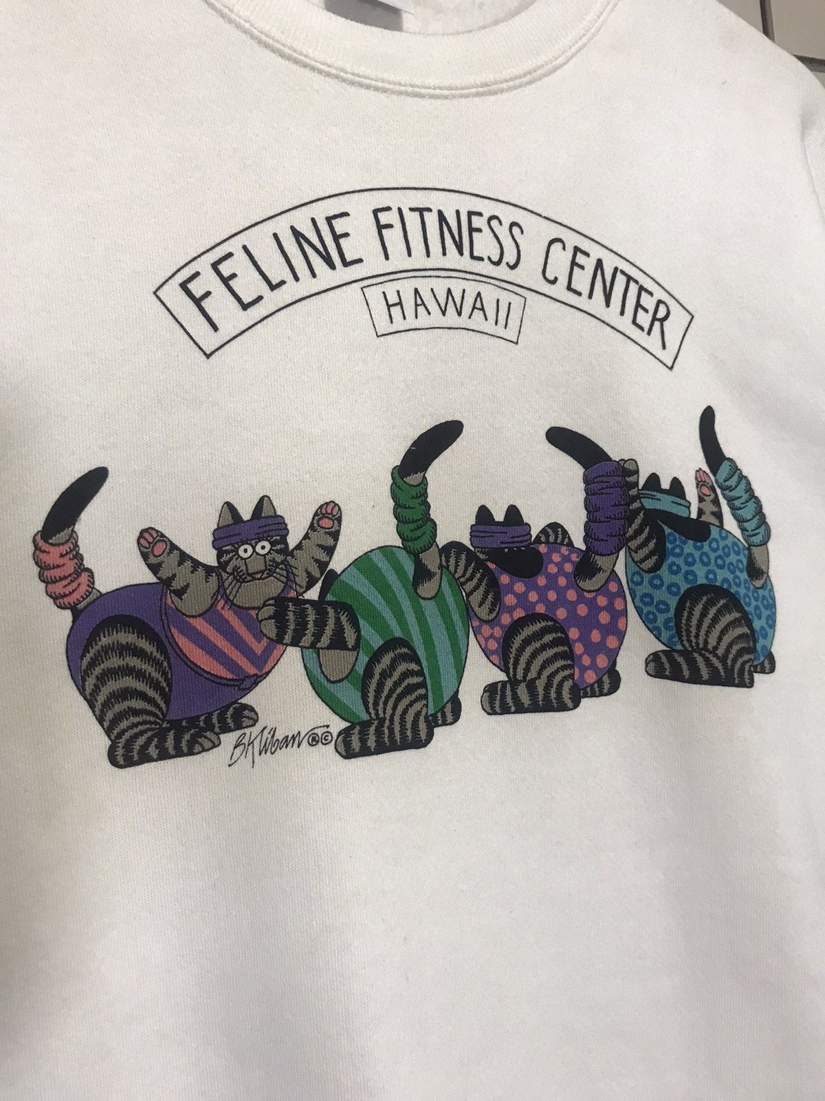 Other Vintage Bkliban Cat Hawai Sweatshirt Size US M / EU 48-50 / 2 - 4 Thumbnail