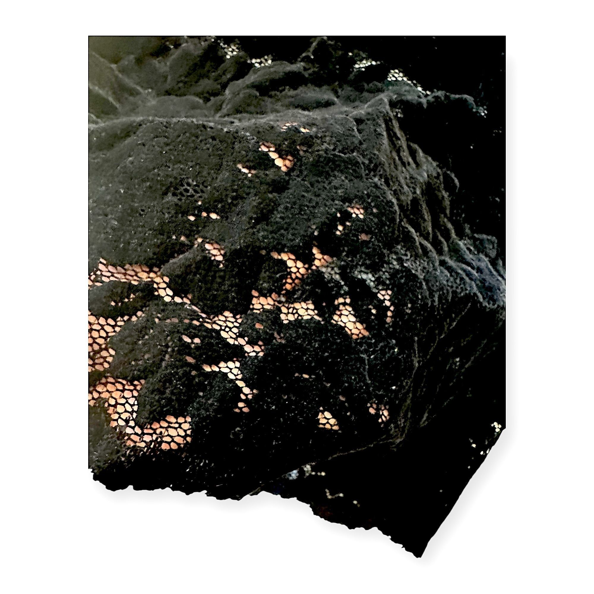 Rachel Comey Rachel Comey Britta Floral Lace Dress In Black, Size XS, New Size XS / US 0-2 / IT 36-38 - 13 Thumbnail