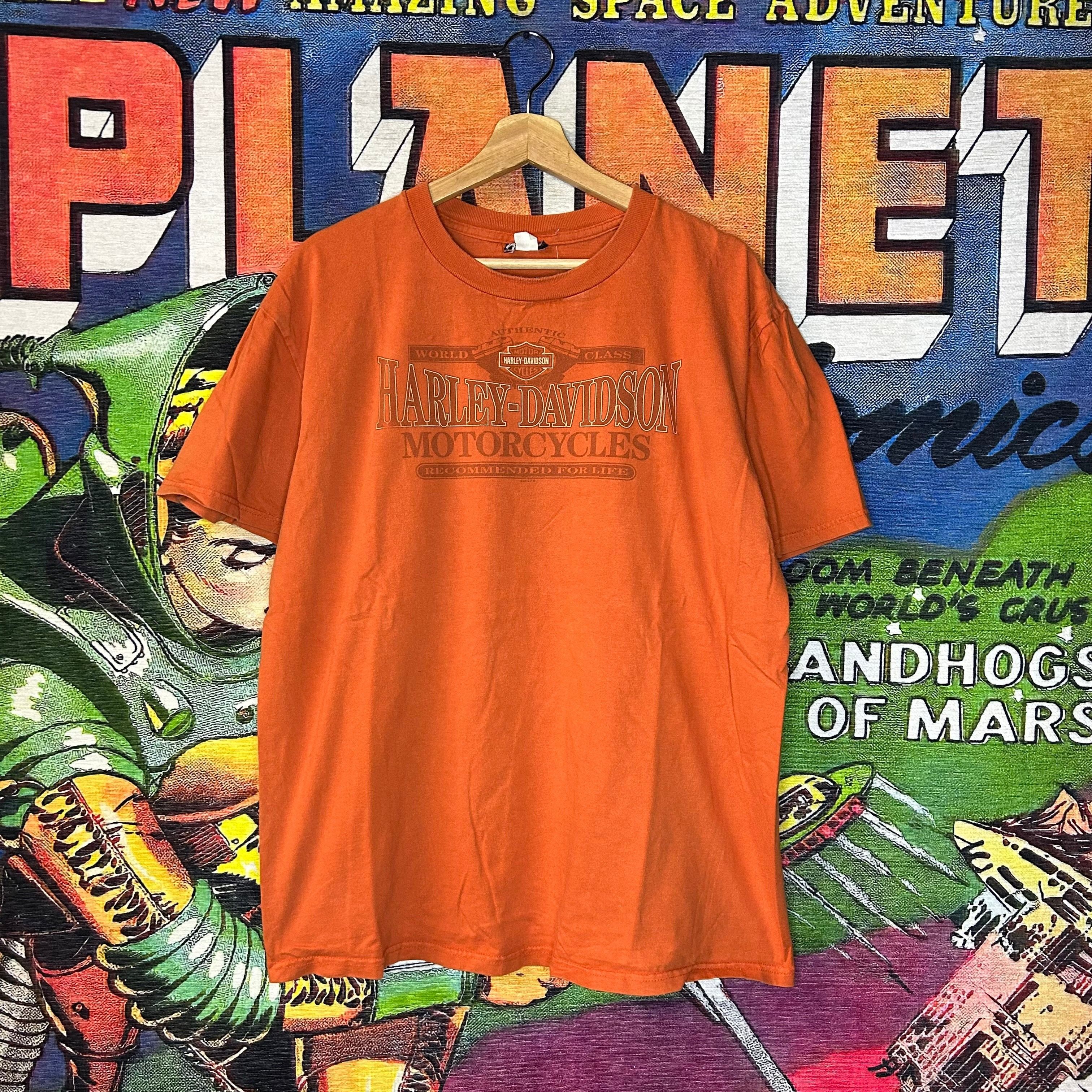 Harley Davidson × Vintage Y2K Harley Davidson Motorcycles Tee Size Large Size US L / EU 52-54 / 3 - 1 Thumbnail