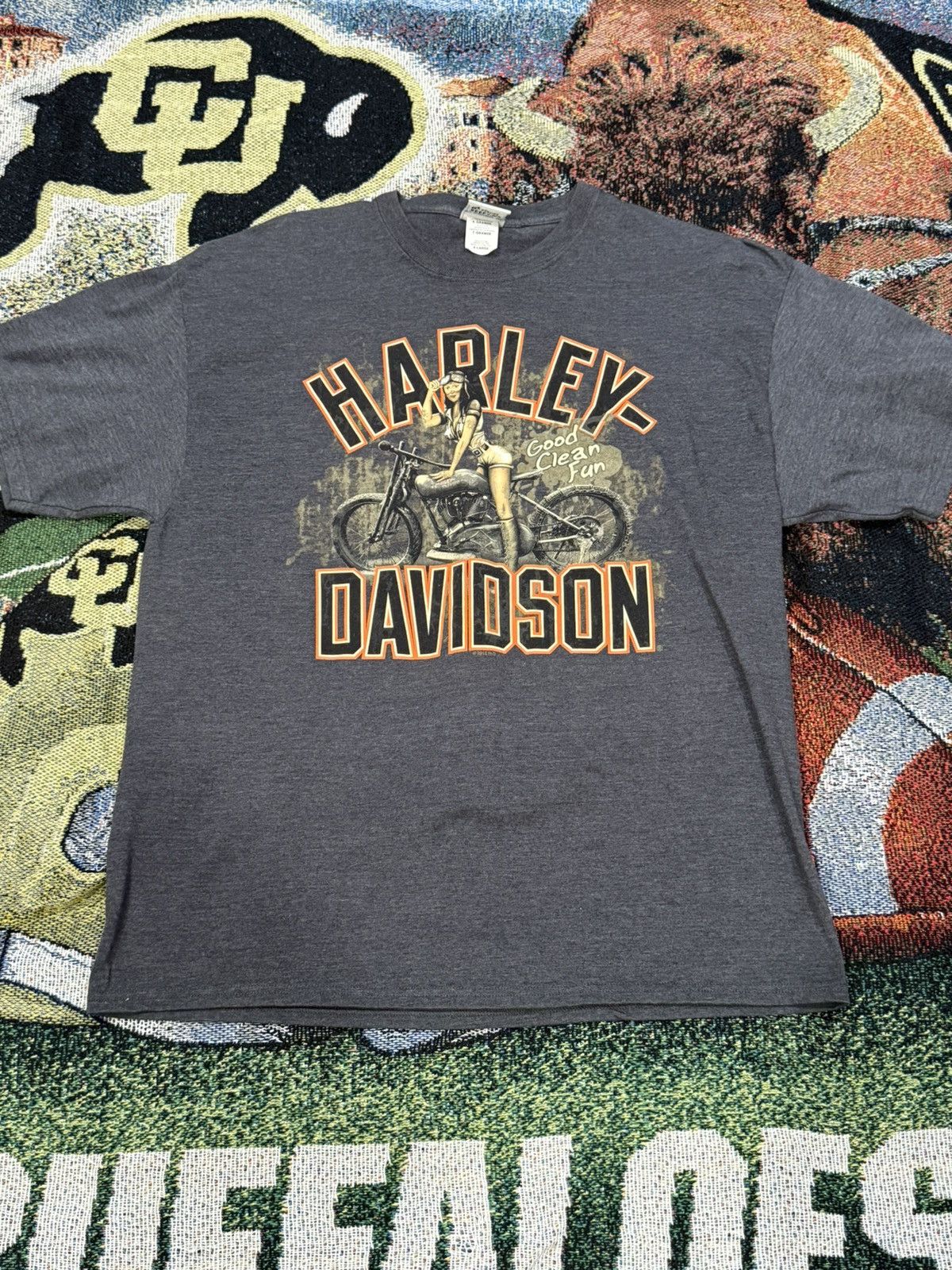 Harley Davidson Harley Davidson Grand Canyon tee Size US XL / EU 56 / 4 - 1 Thumbnail