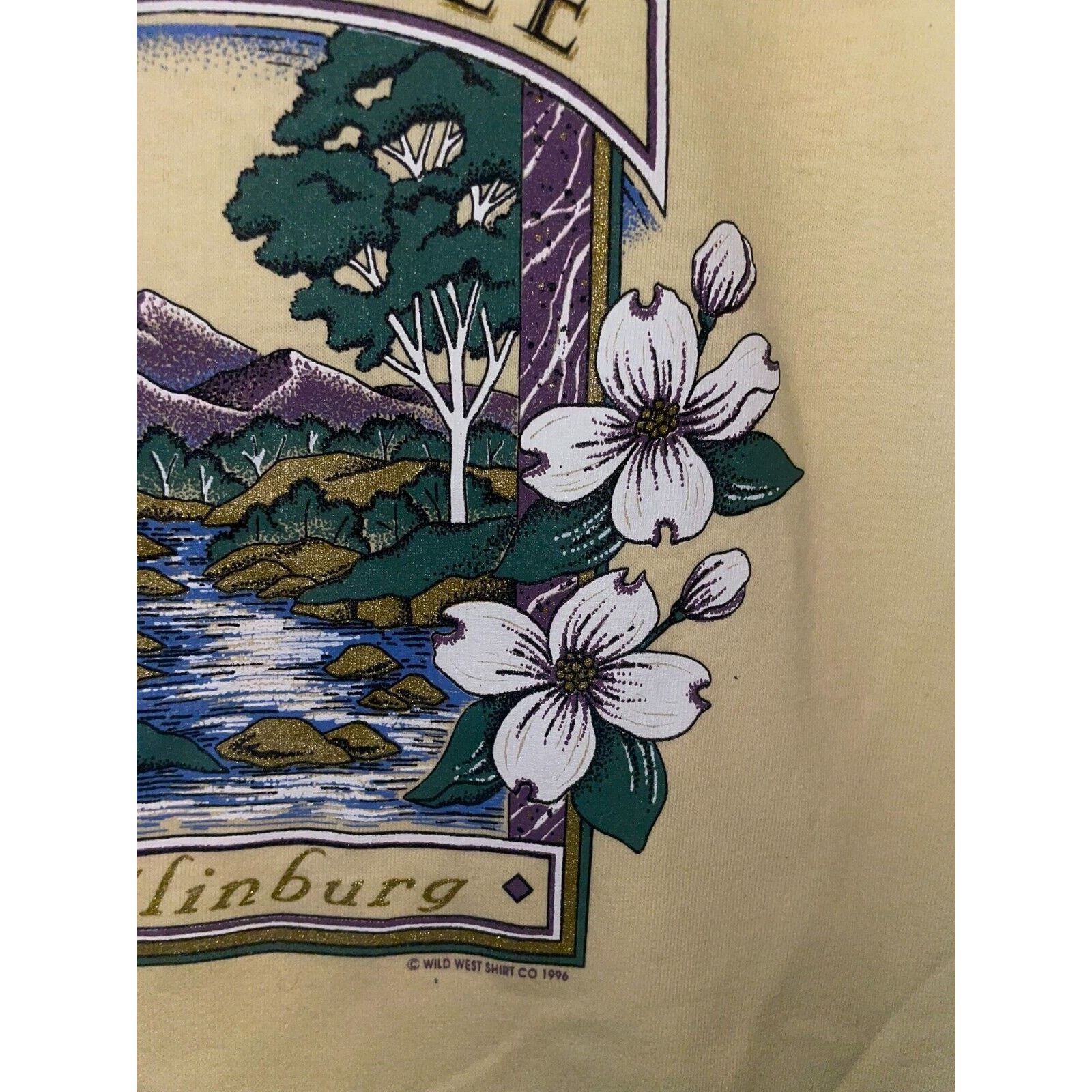 Jerzees Vintage Gatlinburg Tennessee Shirt Tee River Yellow 90s L Size US L / EU 52-54 / 3 - 3 Thumbnail
