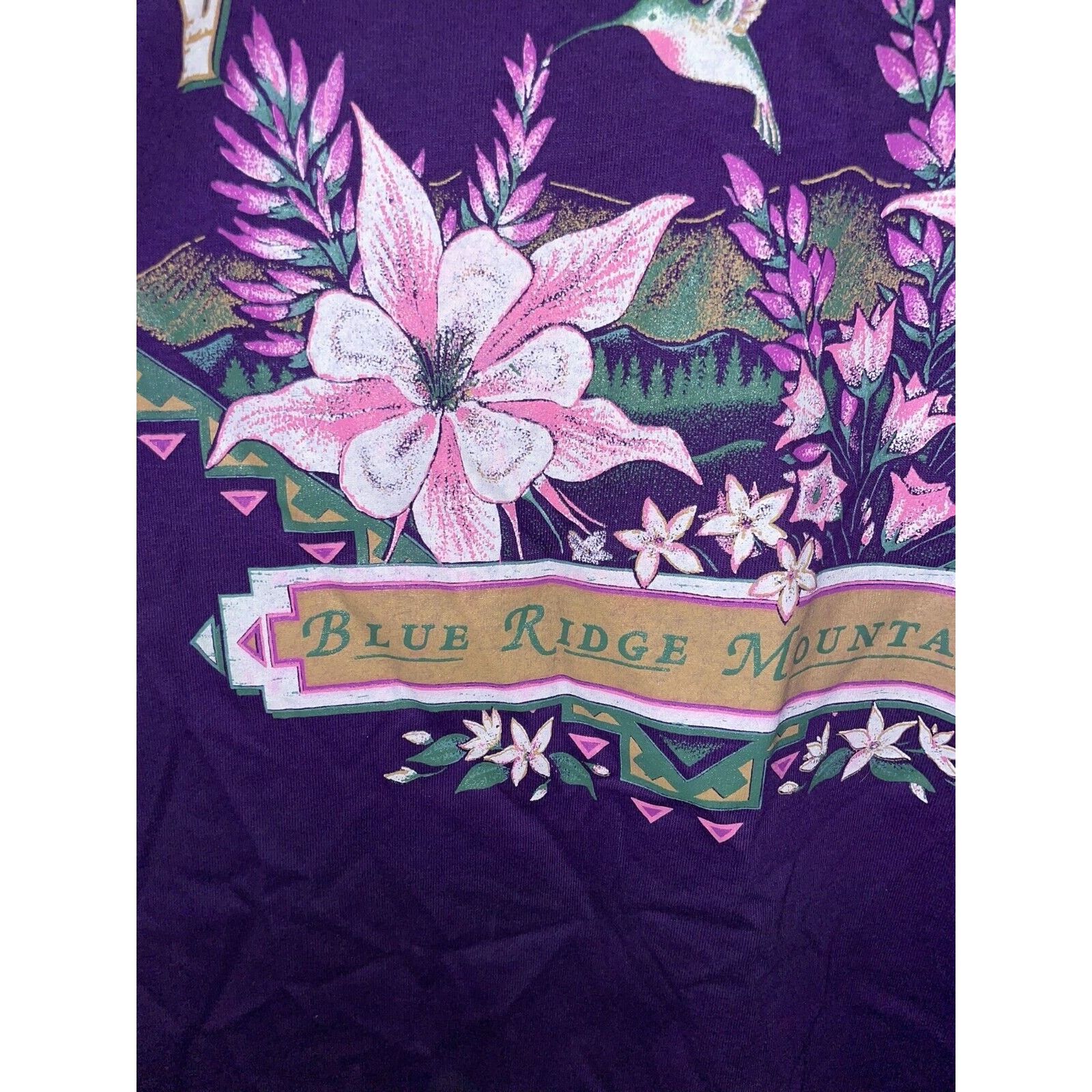 Jerzees Vintage Test Print Shirt Virginia Santa Fe Tee VTG 90s M Size US M / EU 48-50 / 2 - 5 Thumbnail