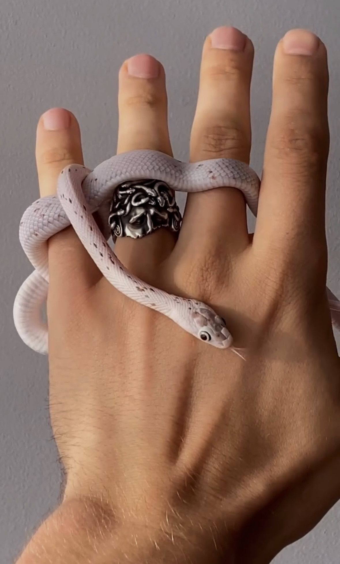 🐍 Wounded Medusa Handmade 925 Silver Ring 🐍