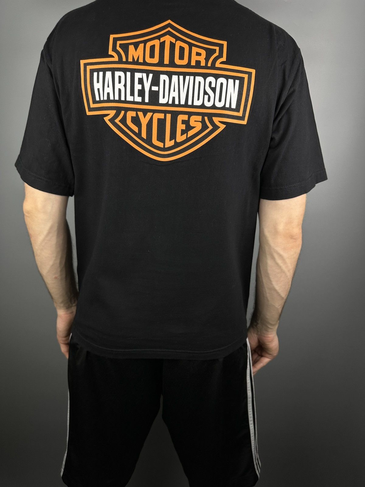 Harley Davidson Vintage Harley Davidson Eagle Bike USA Graphic TShirt Pig 90 Size US L / EU 52-54 / 3 - 4 Thumbnail