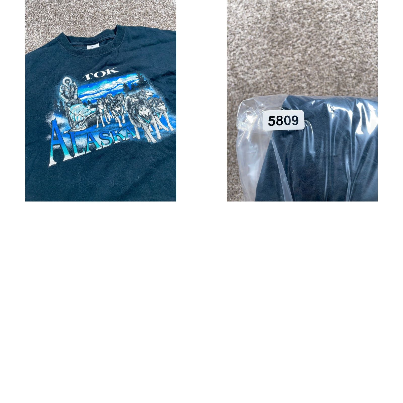 Anvil Vintage Tok Alaska Dog Sled T-Shirt Men Large Black Outdoor Nature Logo Graphic 90s Size US L / EU 52-54 / 3 - 8 Thumbnail