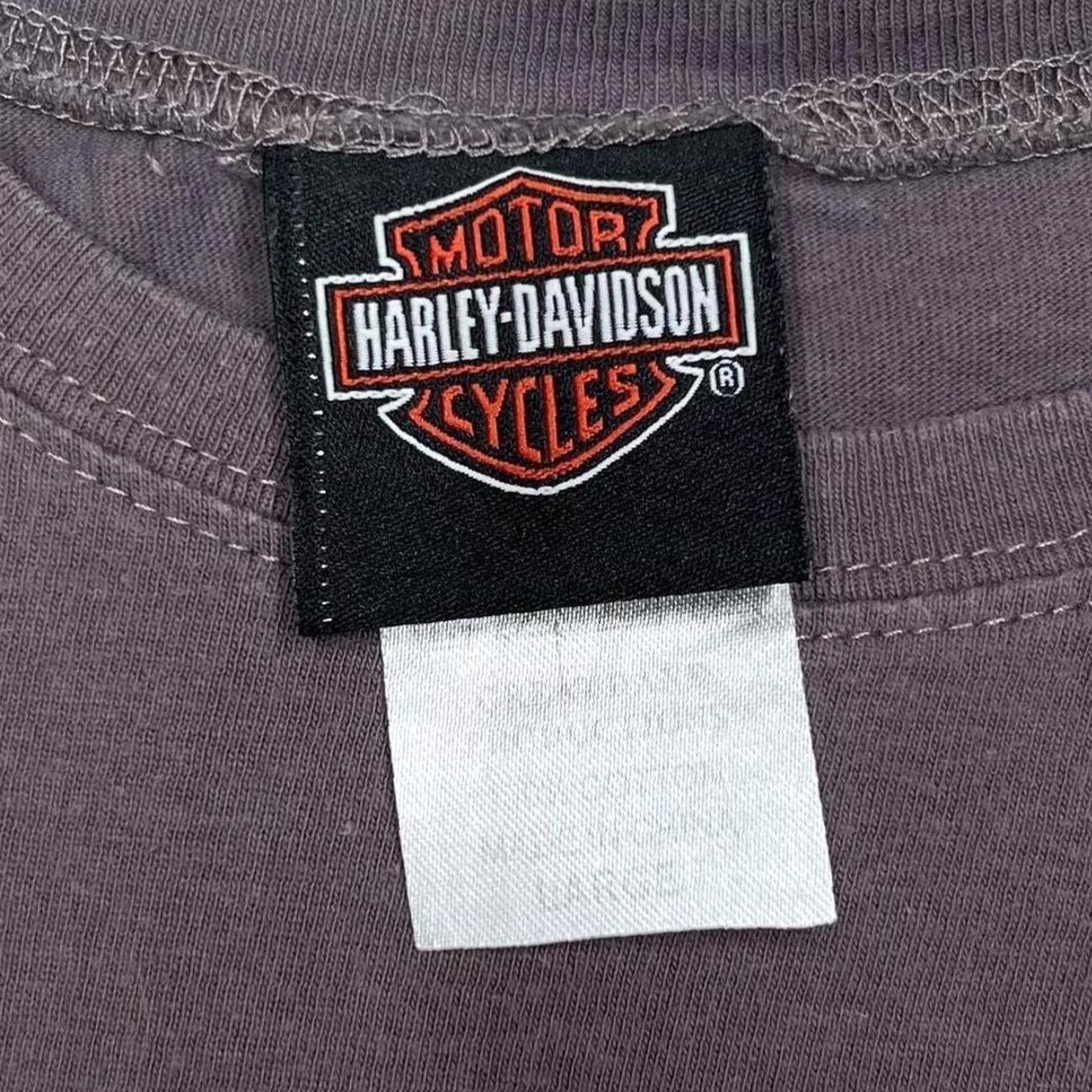 Harley Davidson Harley-Davidson Nassau, Bahamas Biker Butterfly Graphic Grey T-Shirt Women’s Large Size L / US 10 / IT 46 - 3 Thumbnail