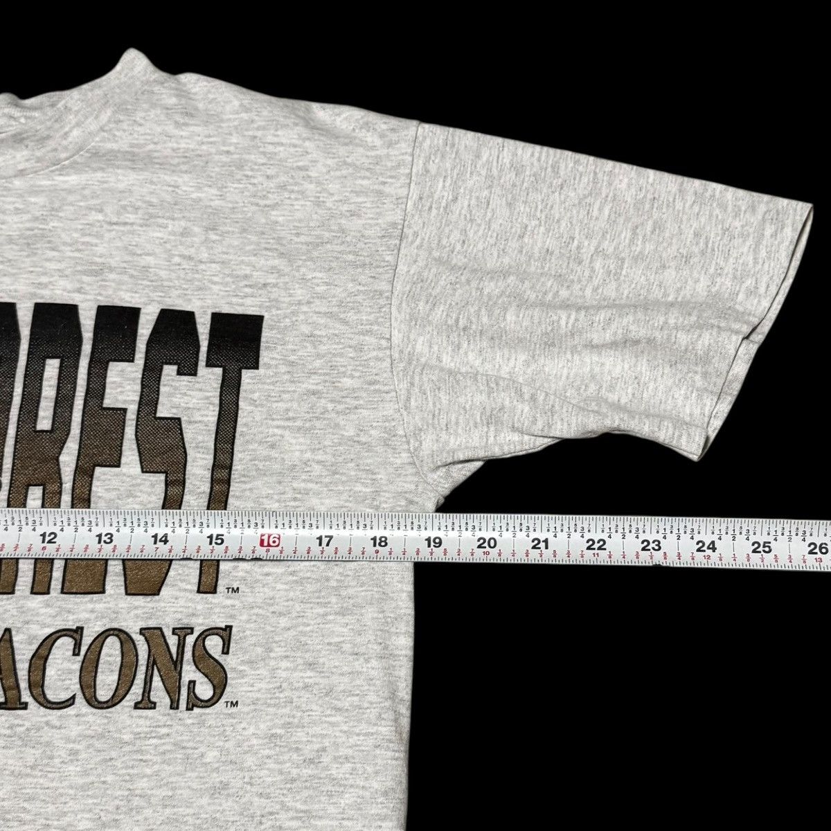 Vintage Cotton Exchange Wake Forest Demon Deacons Gray Shirt Men's M Size US M / EU 48-50 / 2 - 5 Thumbnail