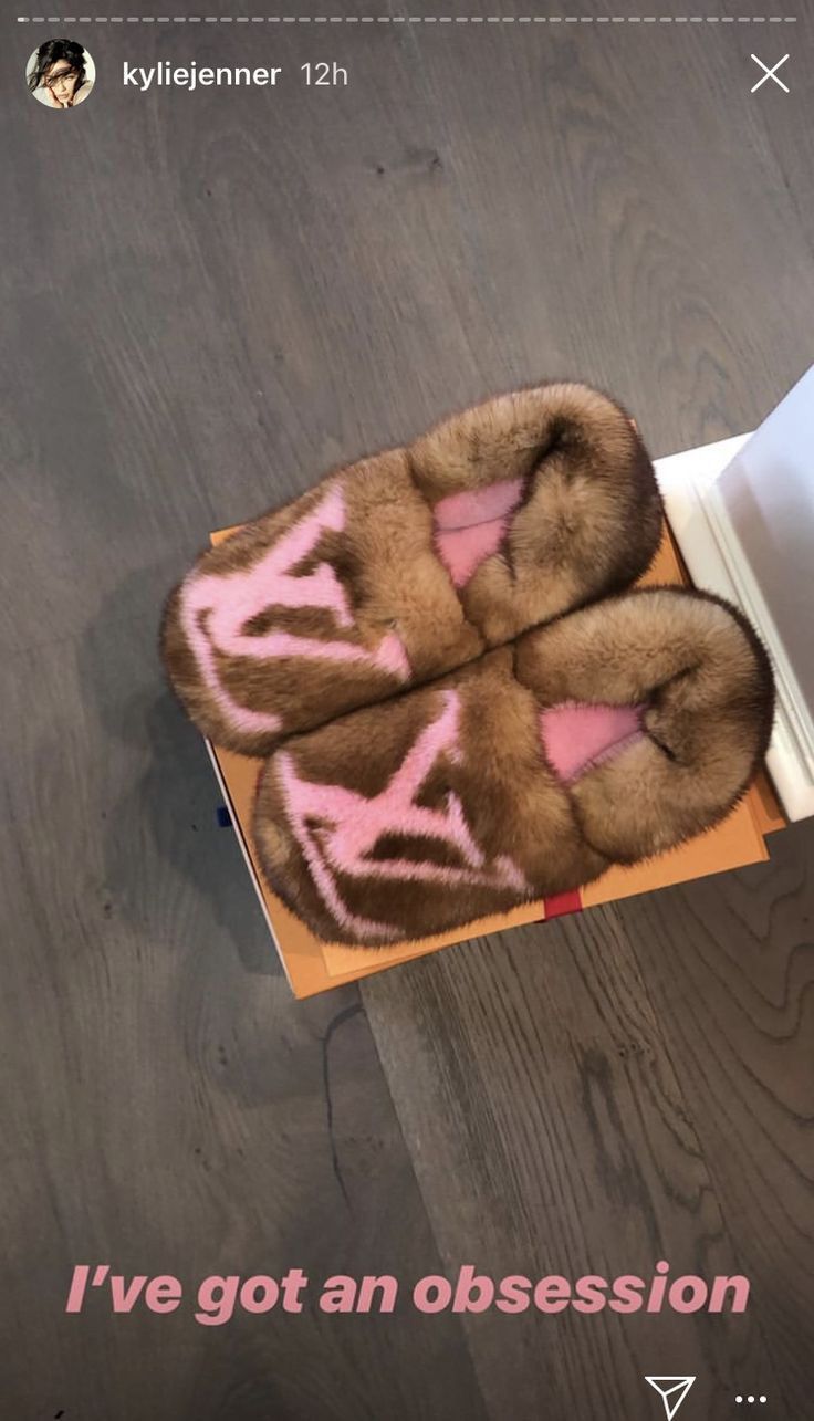 Louis Vuitton Louis Vuitton JAPAN EXCLUSIVE MINK FUR Clog Slippers Size US 10 / EU 43 - 7 Thumbnail