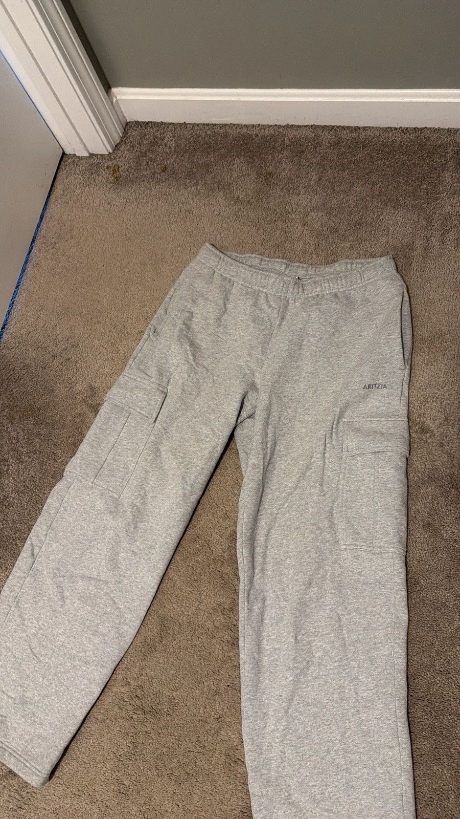 Aritzia Aritzia Fleece Sweatpants Size 30" / US 8 / IT 44 - 1 Thumbnail