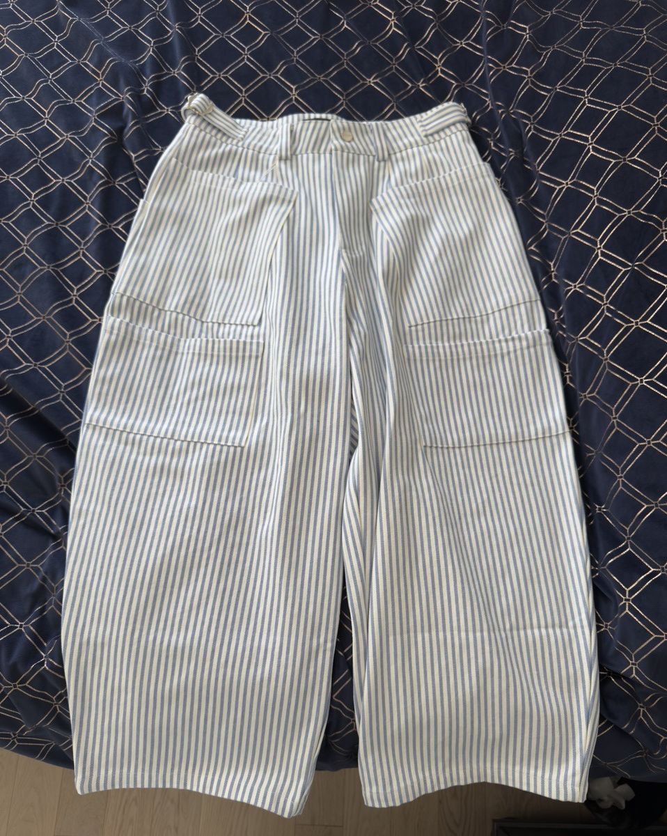 Shinzo Canvas Balloon Pinstripe Pants