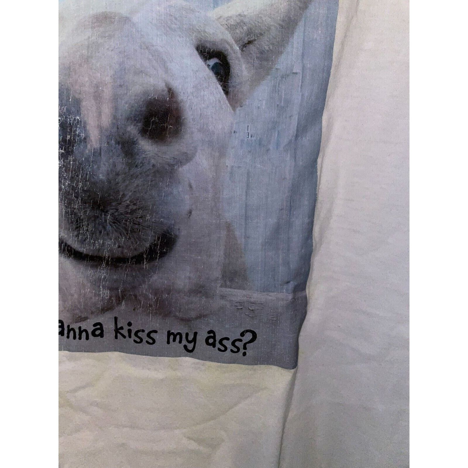 Hanes Vintage Joke Shirt Wanna Kiss My As Butt Donkey STAINED XL Size US XL / EU 56 / 4 - 5 Thumbnail